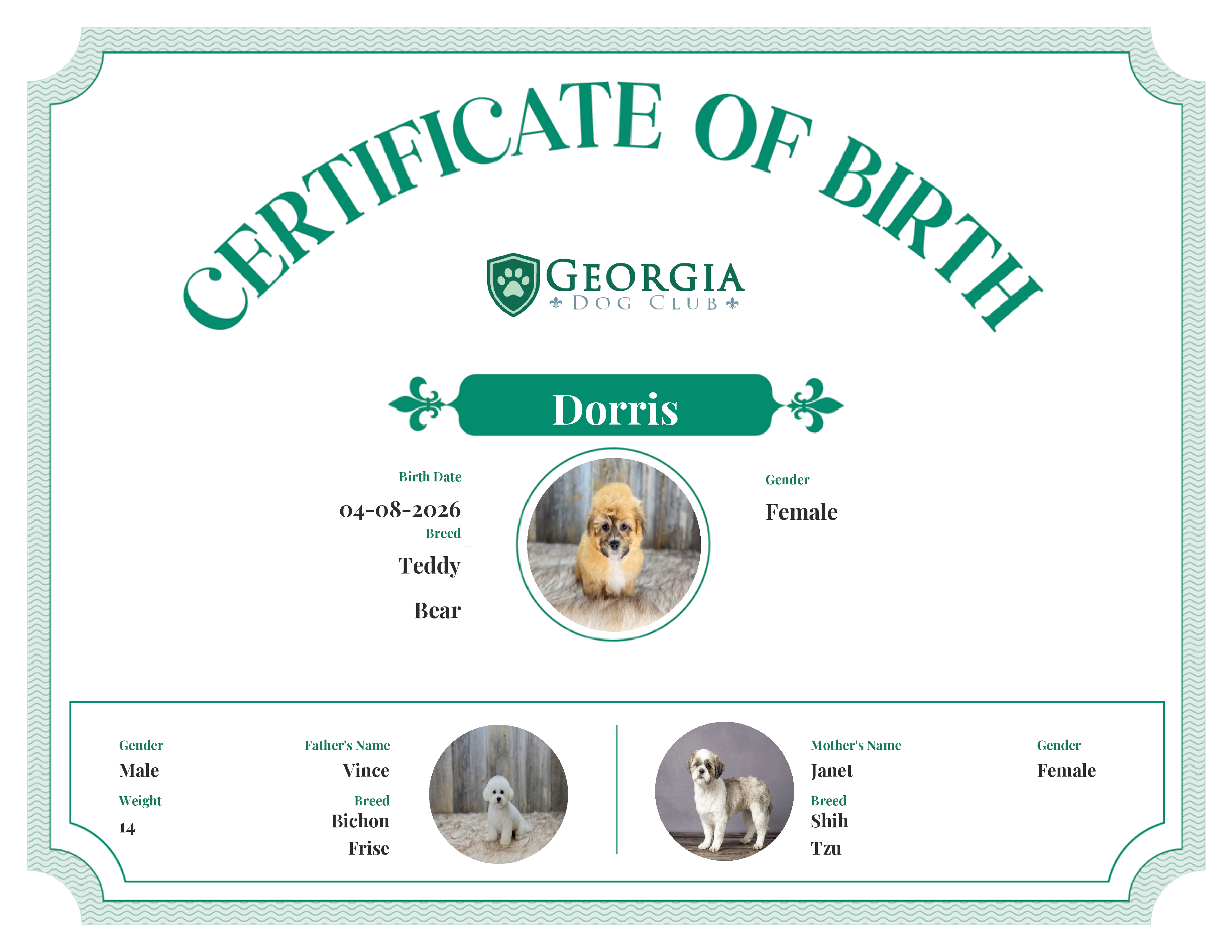 Dorris's Birth Certificate