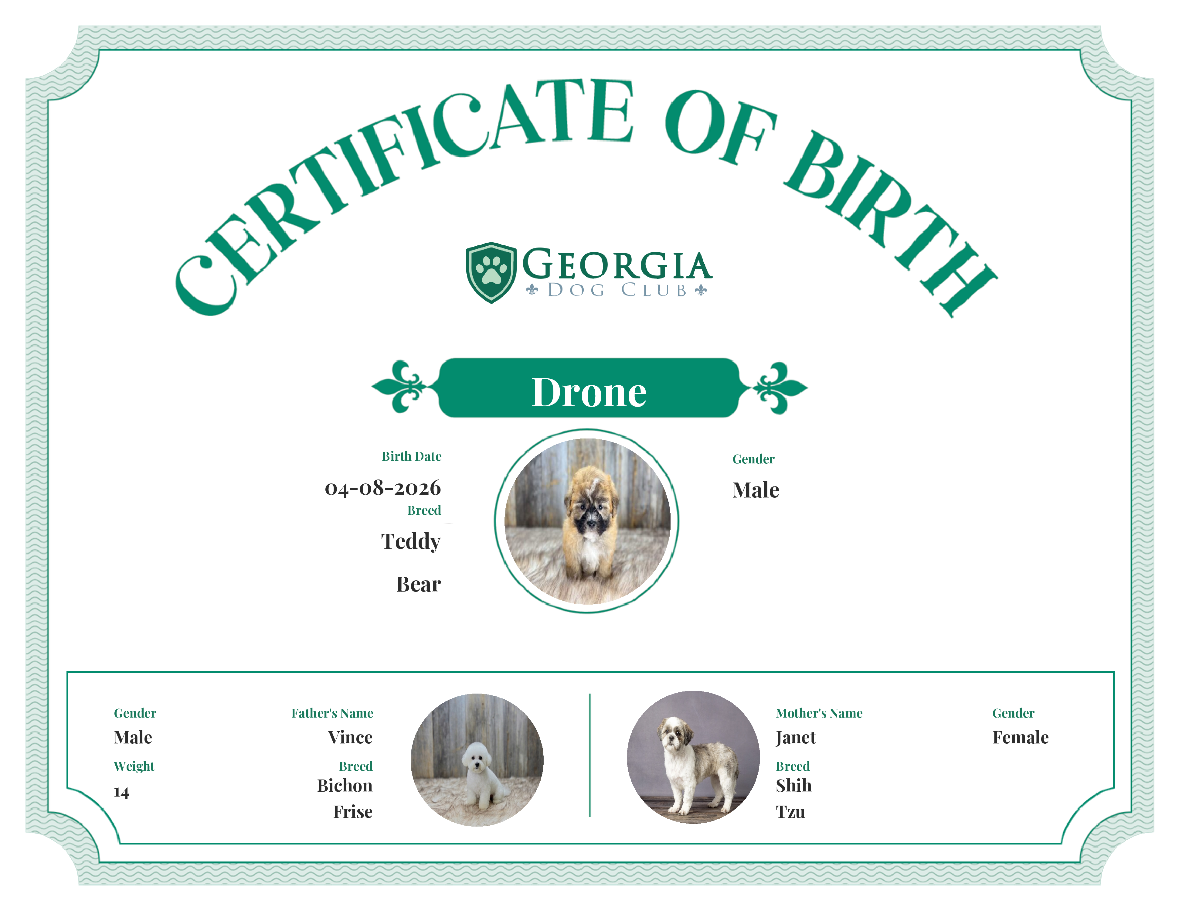 Drone's Birth Certificate