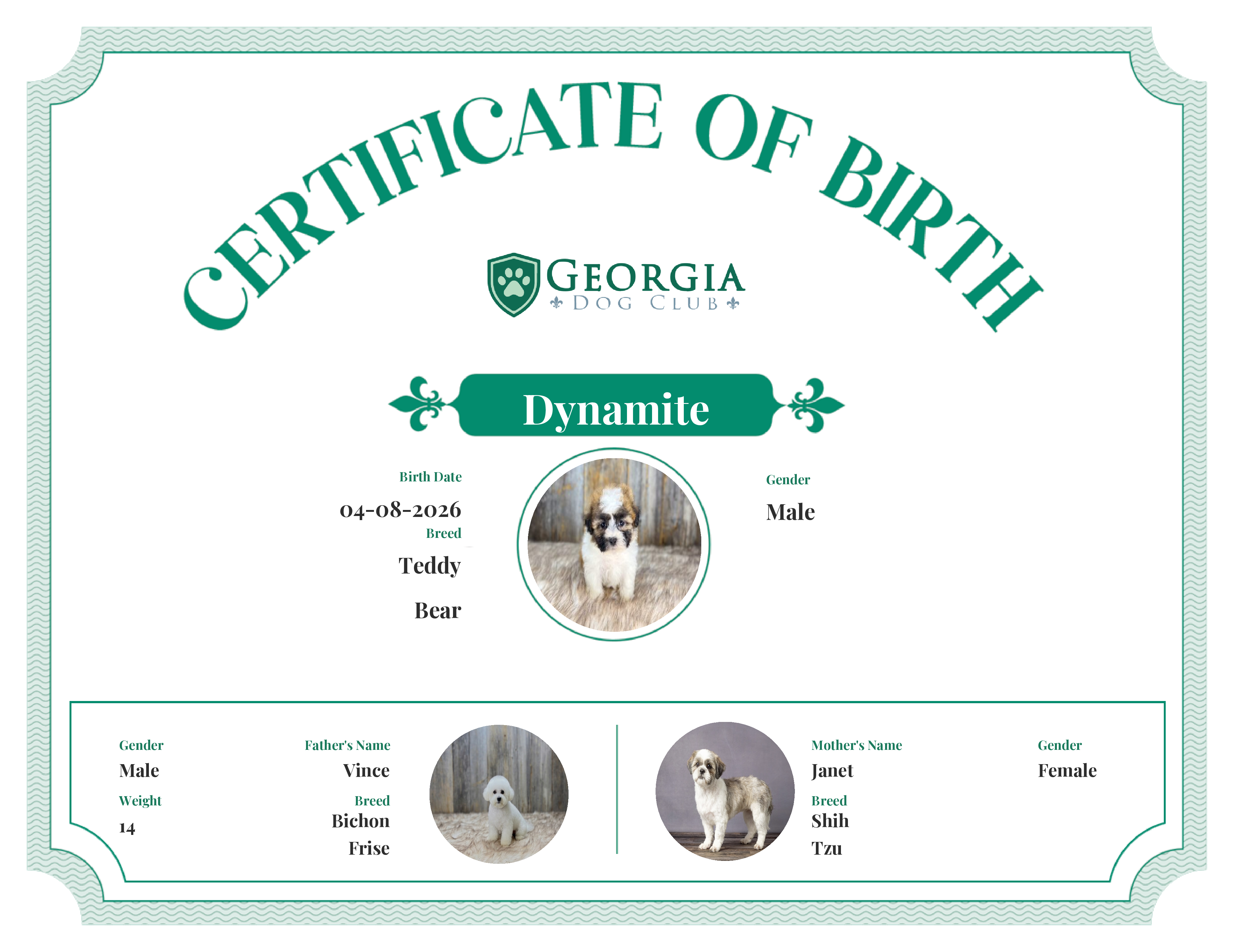Dynamite's Birth Certificate
