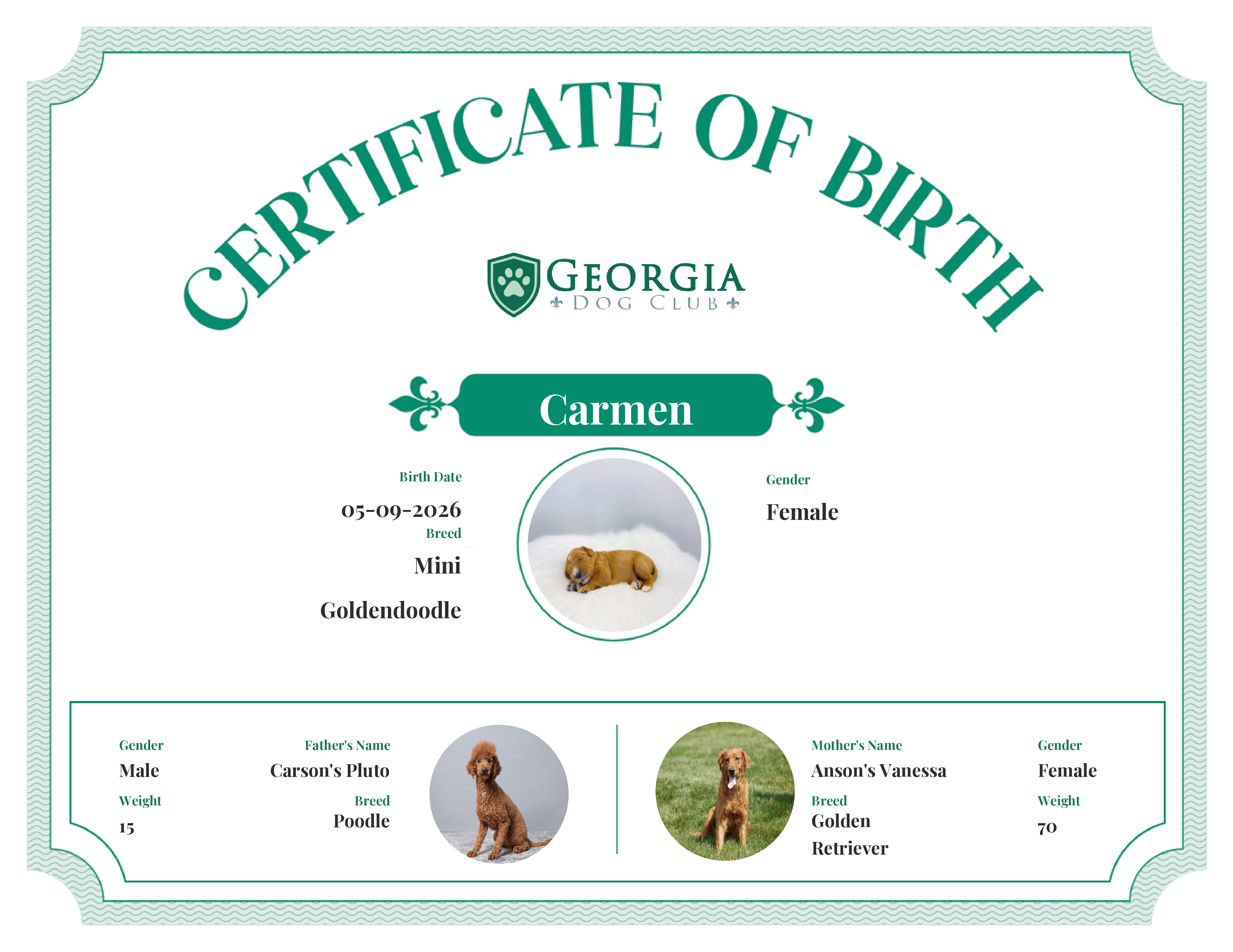 Carmen's Birth Certificate
