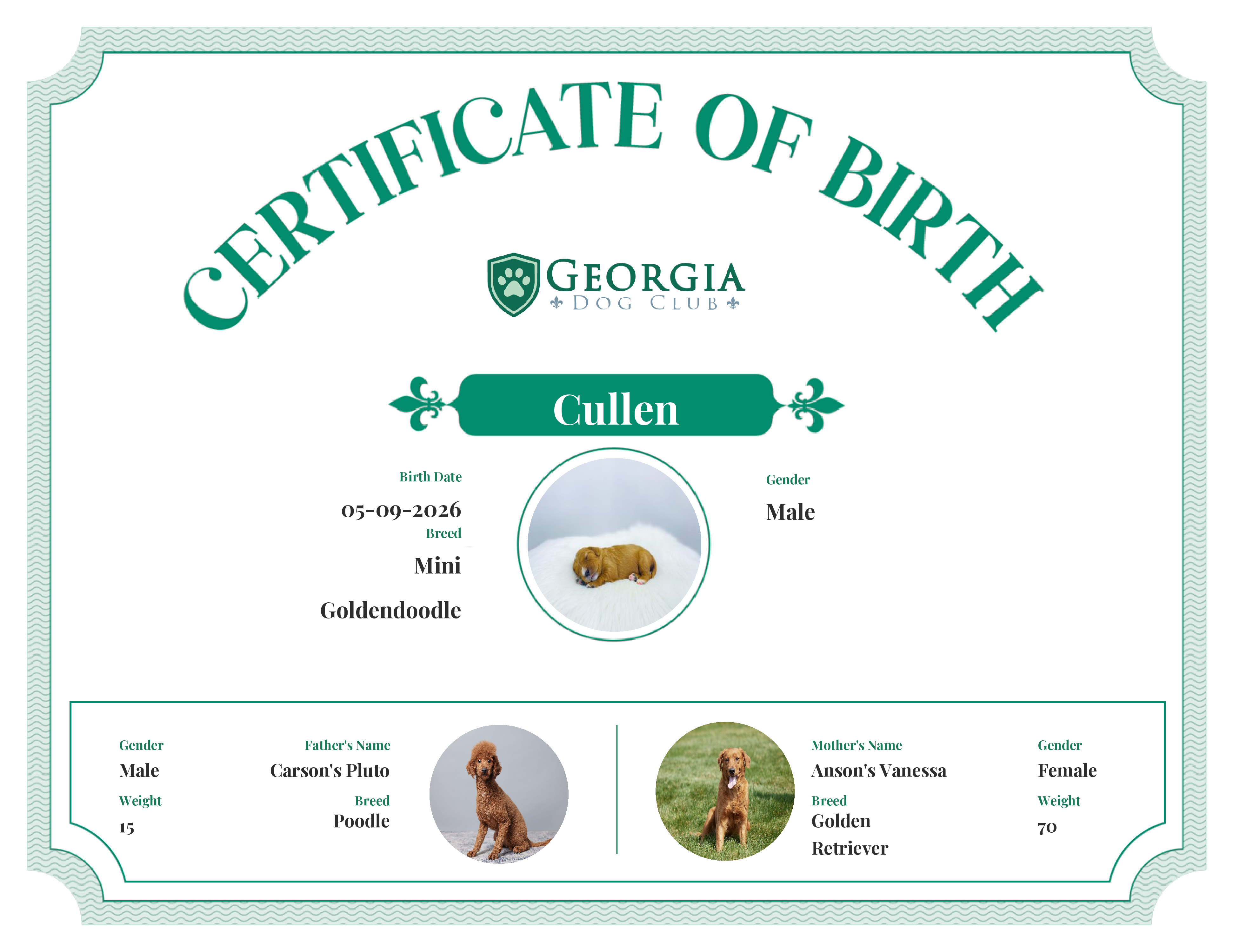 Cullen's Birth Certificate