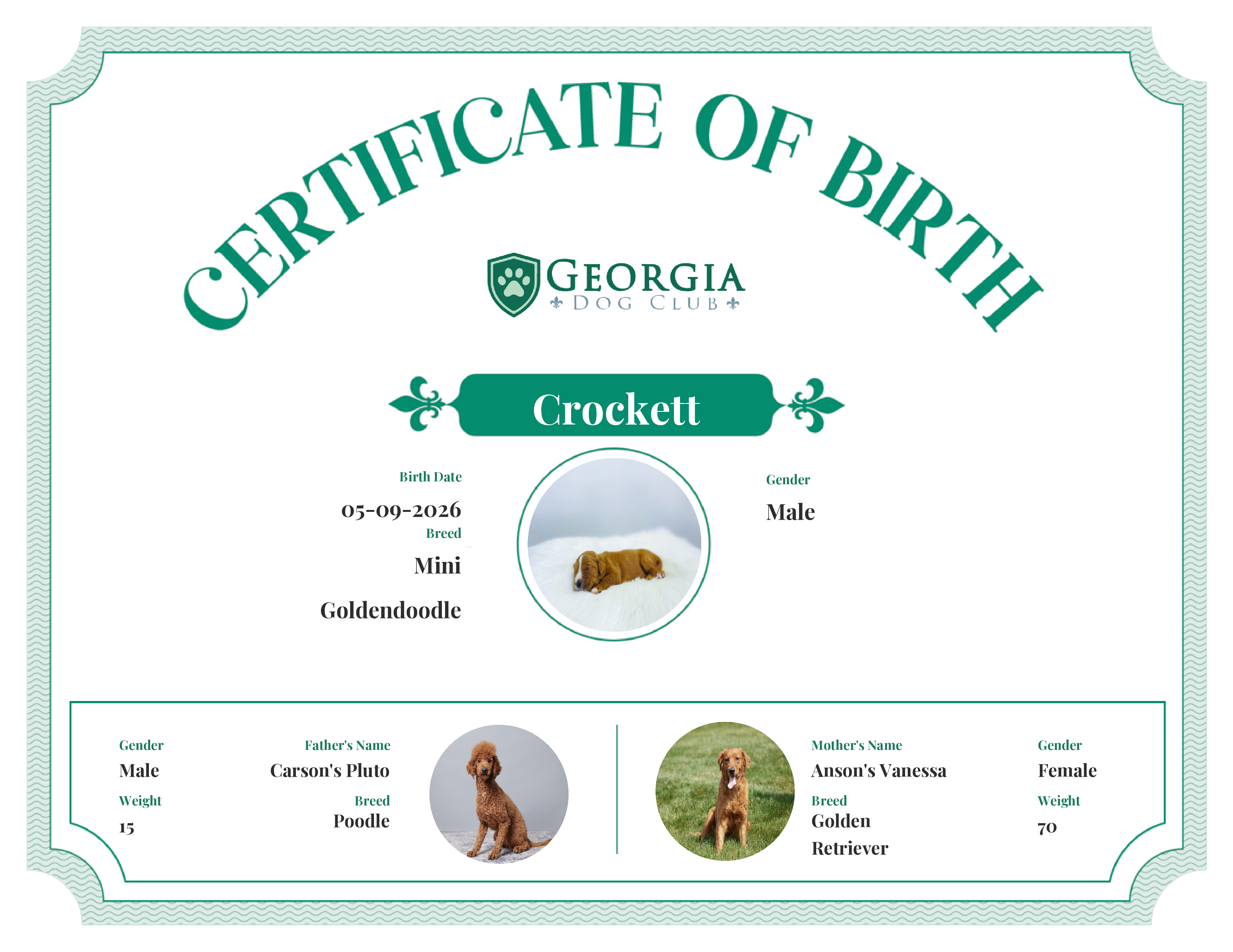 Crockett's Birth Certificate