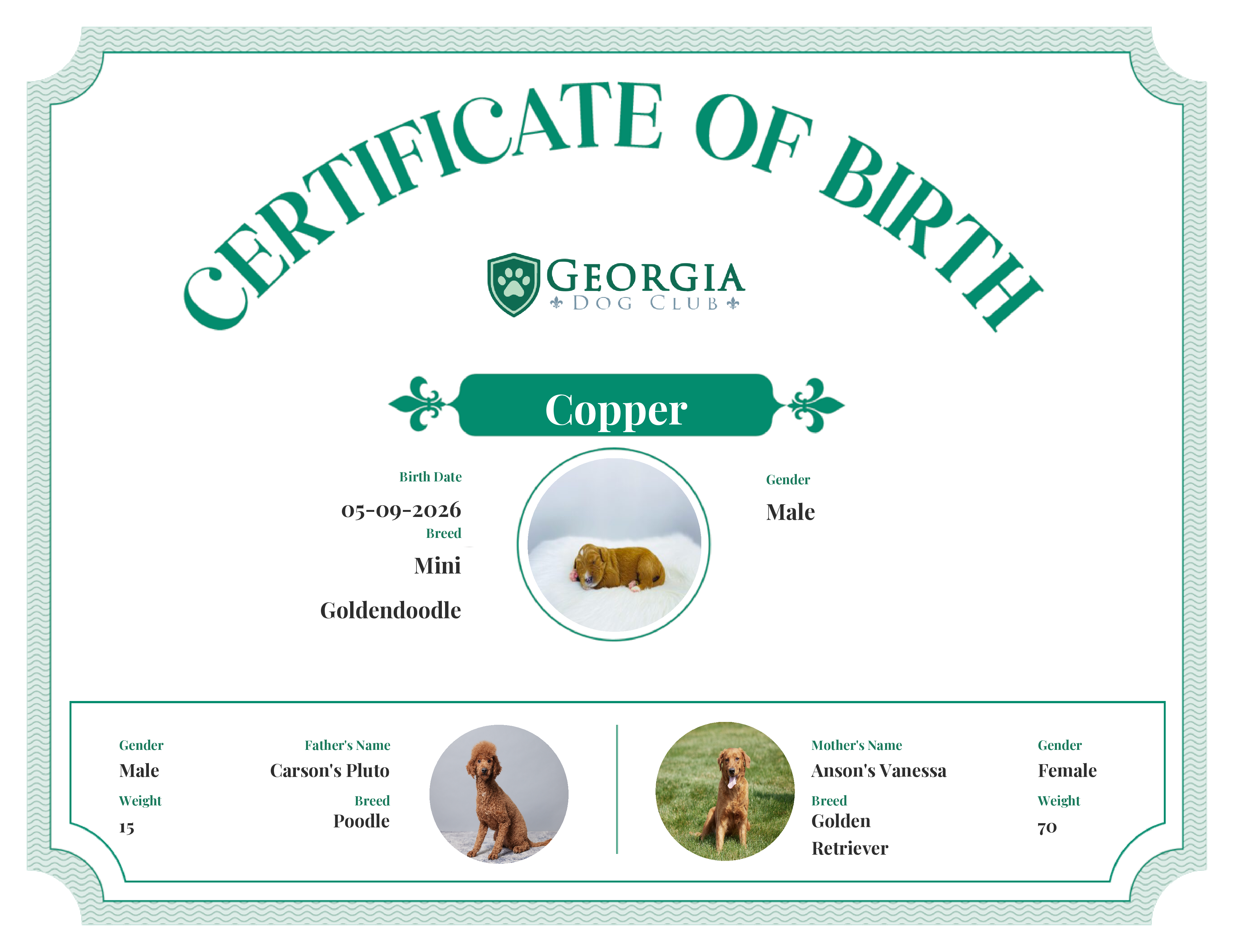 Copper's Birth Certificate