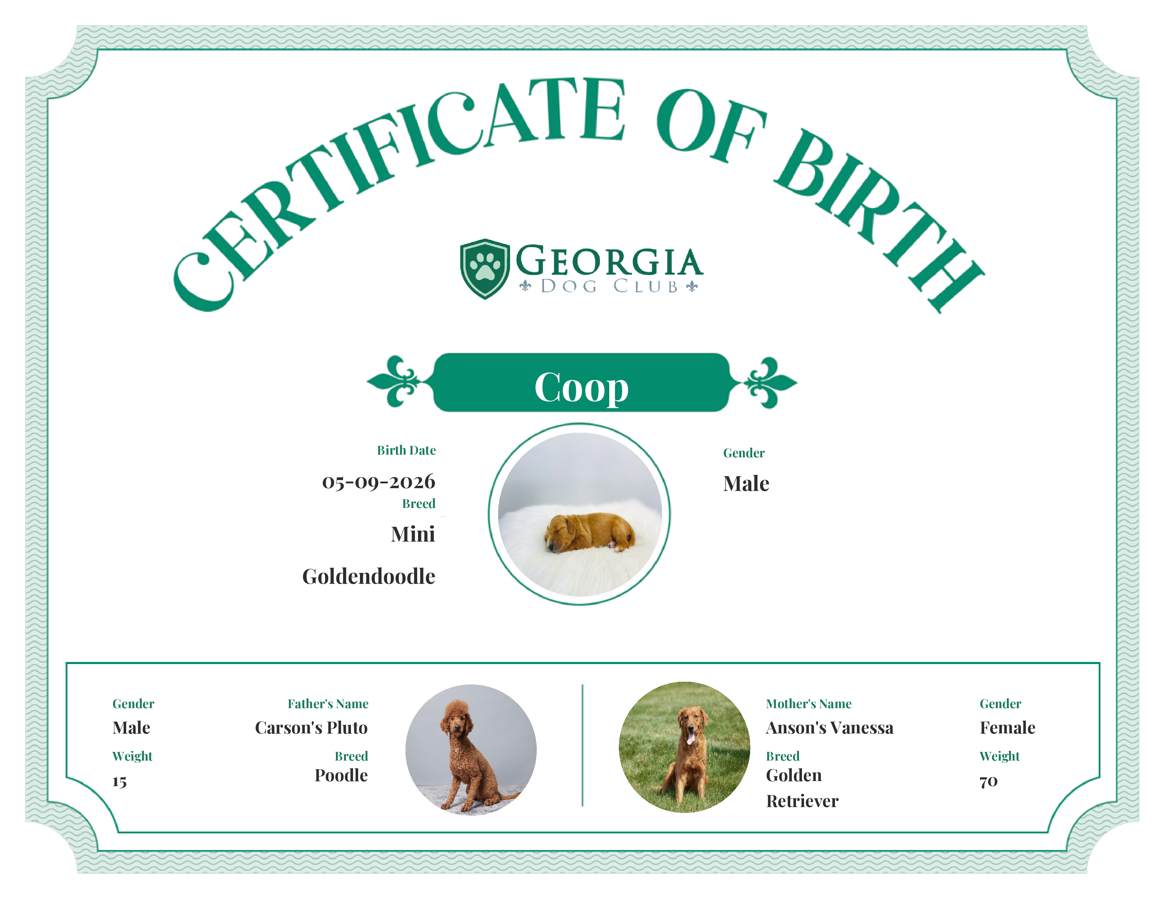 Coop's Birth Certificate