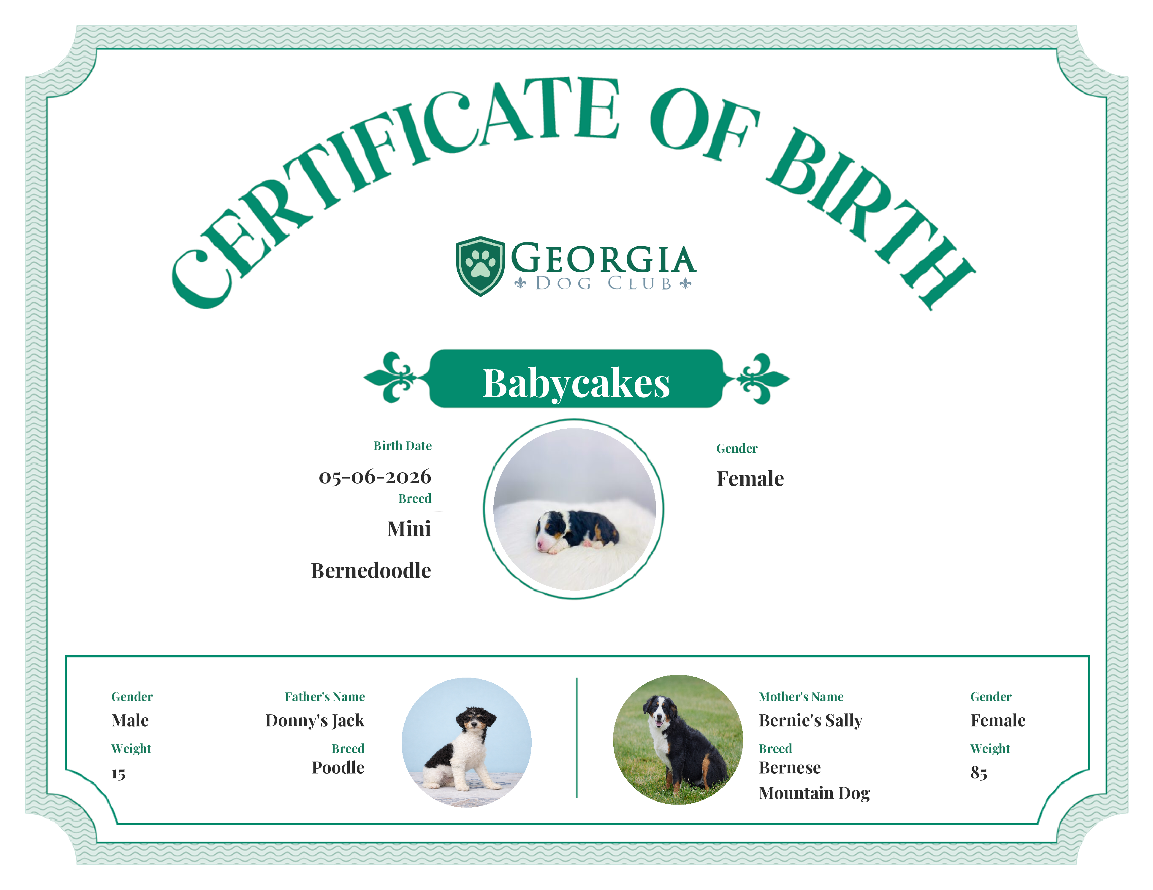Babycakes's Birth Certificate