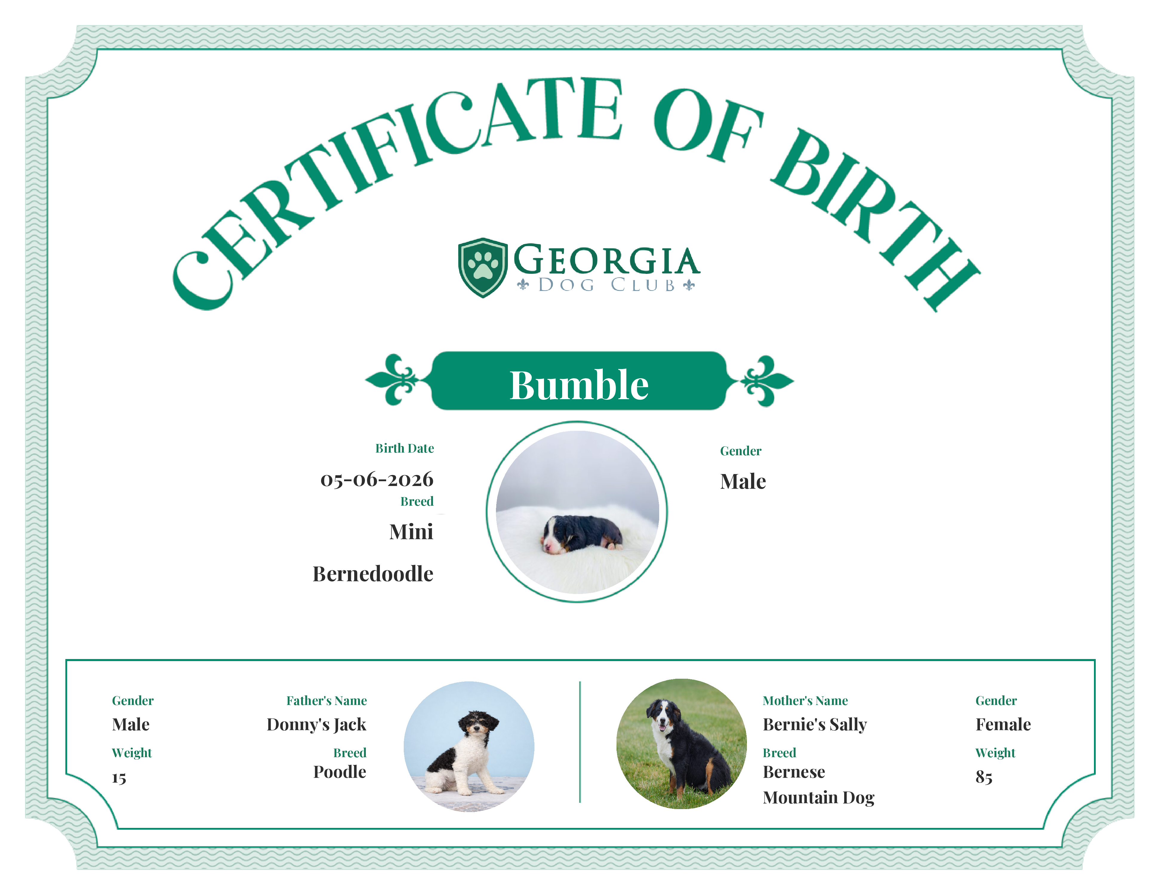 Bumble's Birth Certificate