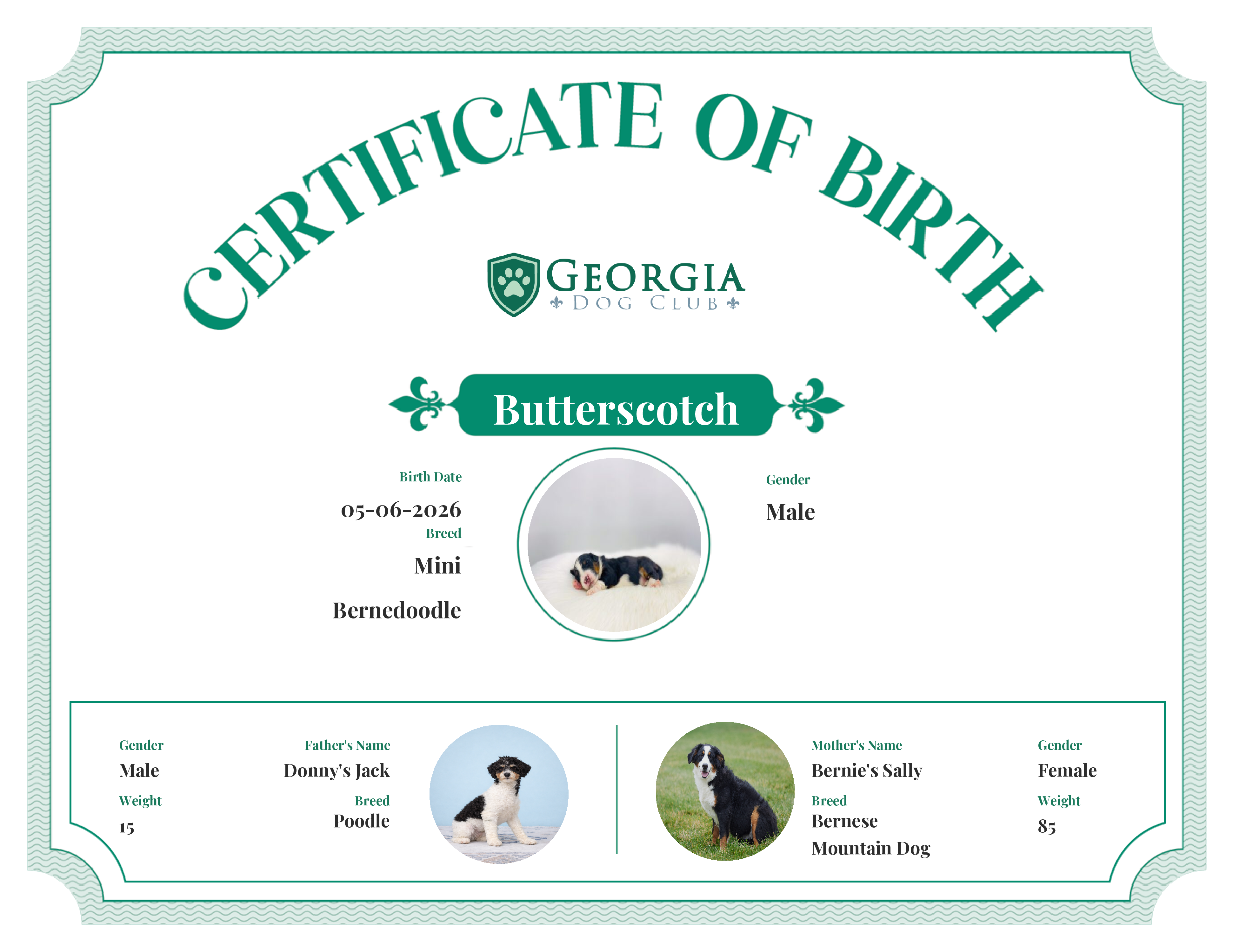 Butterscotch's Birth Certificate