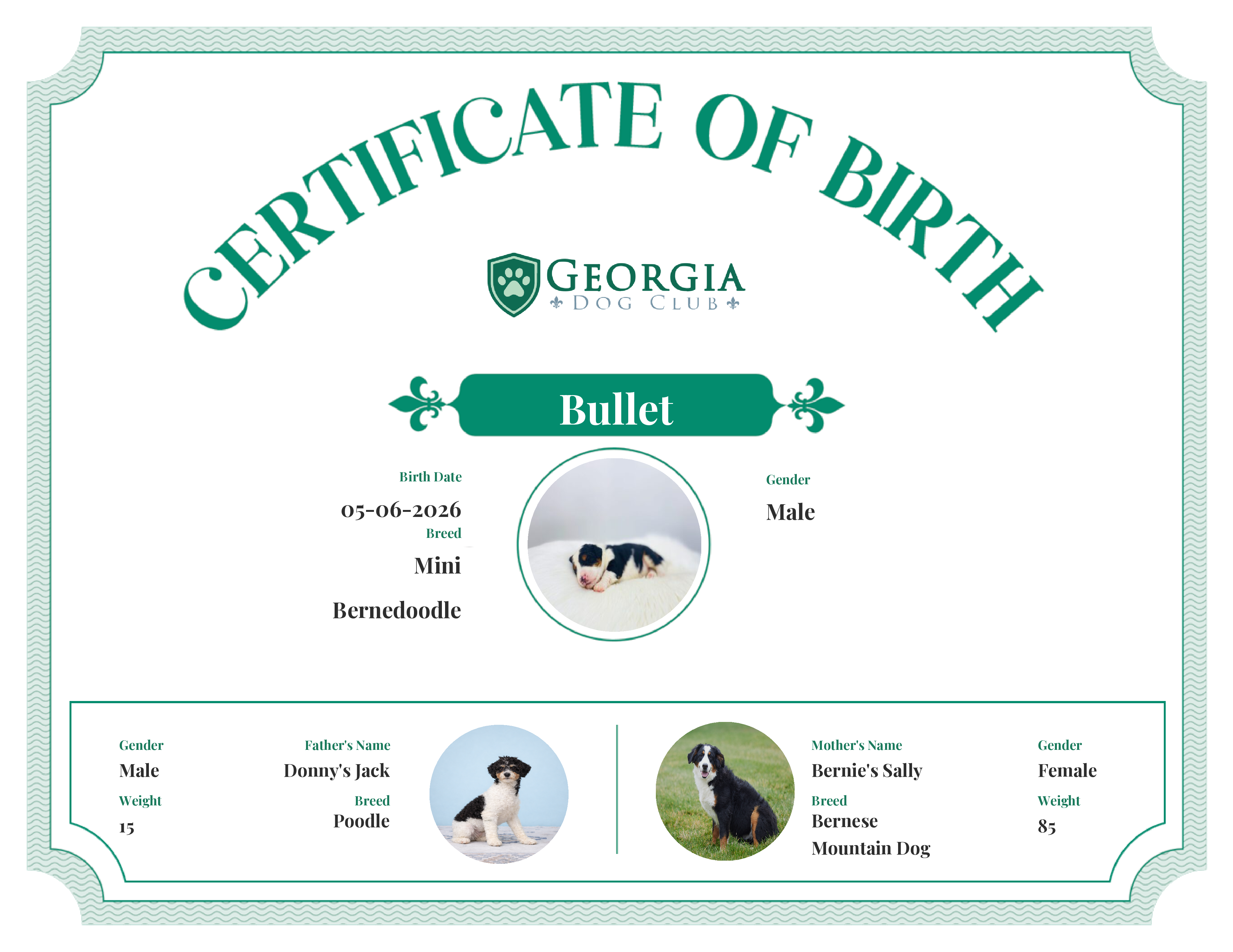 Bullet's Birth Certificate