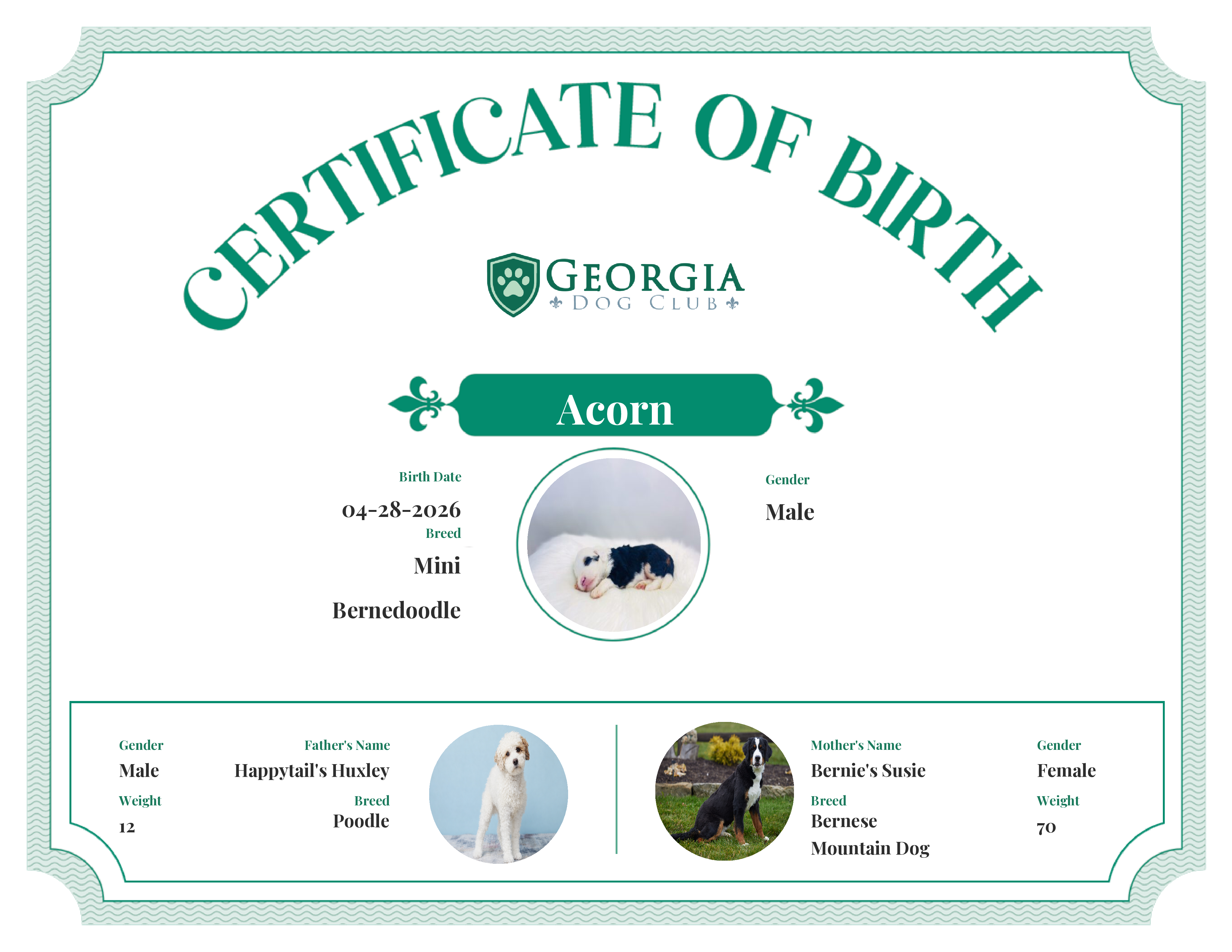 Acorn's Birth Certificate