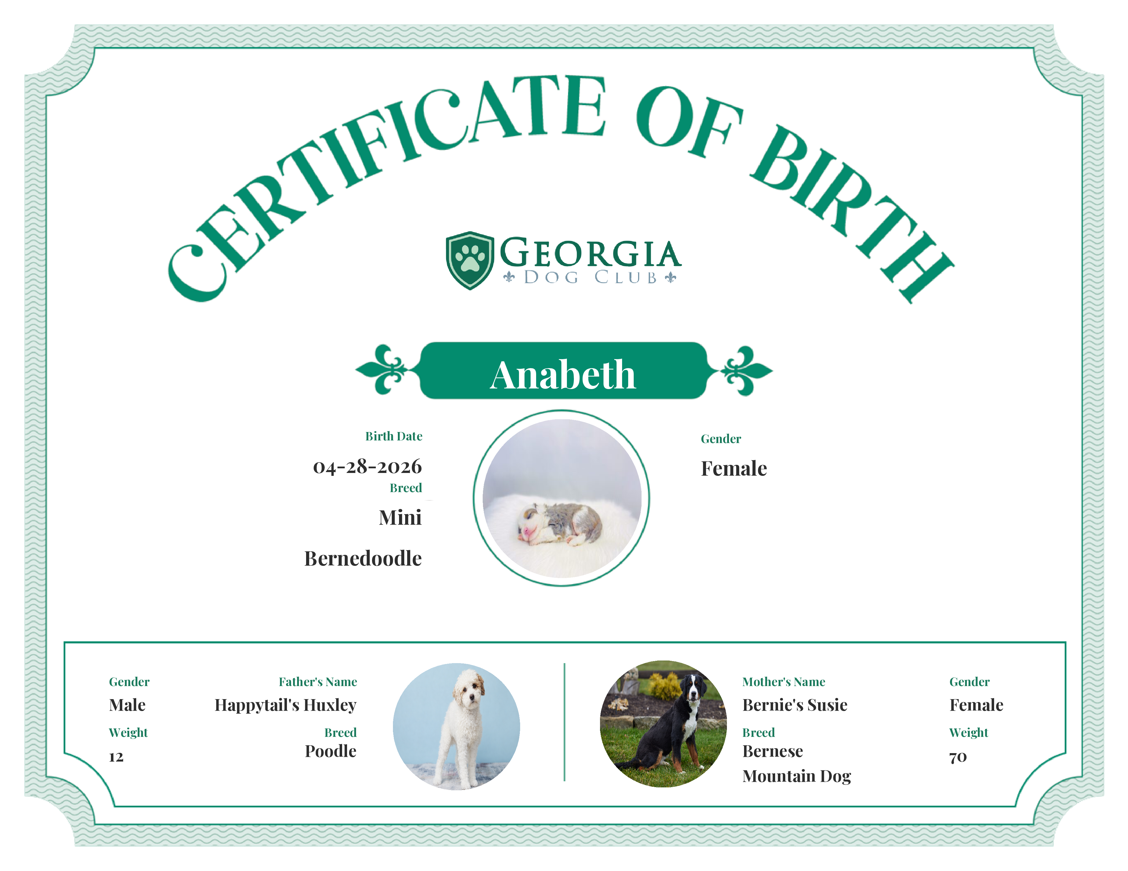 Anabeth's Birth Certificate