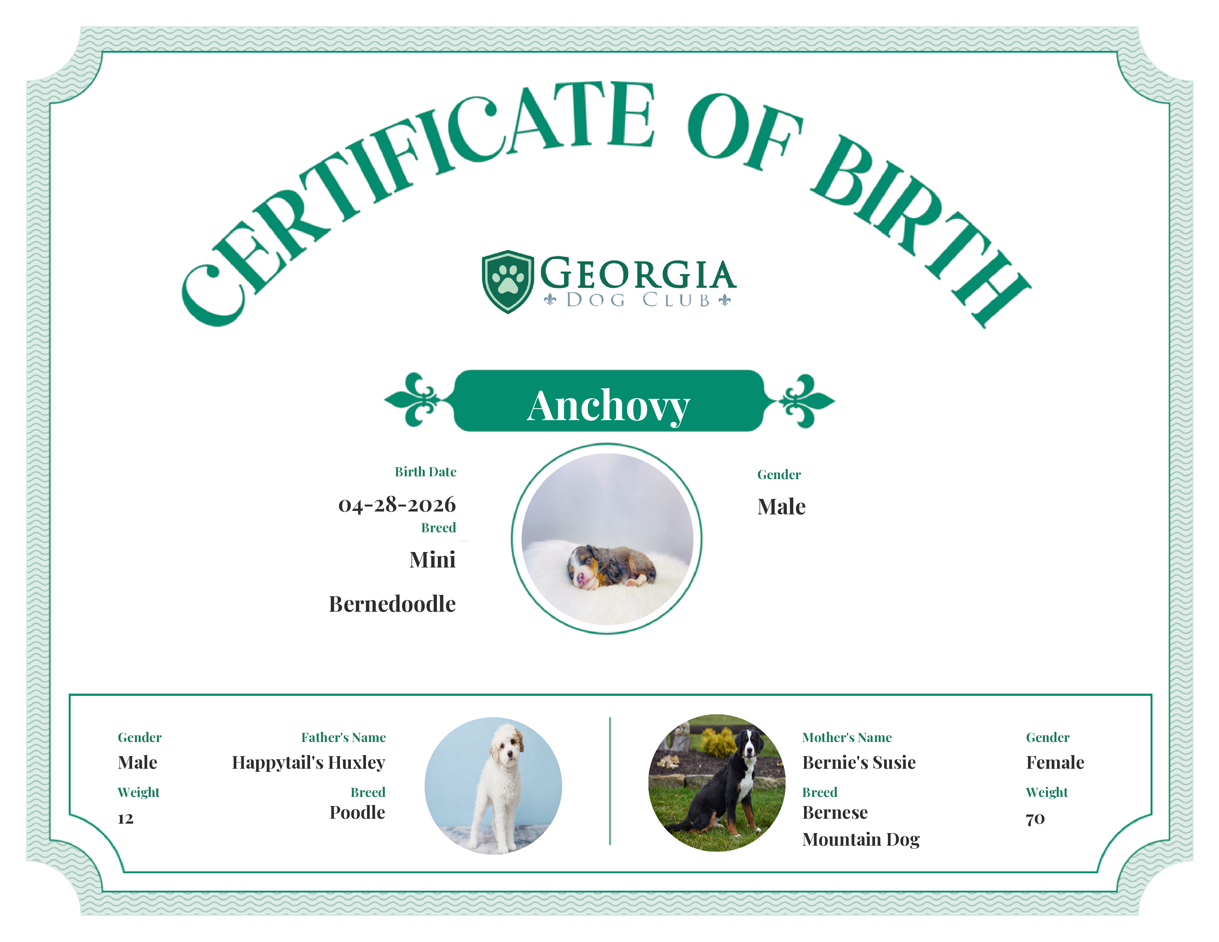 Anchovy's Birth Certificate