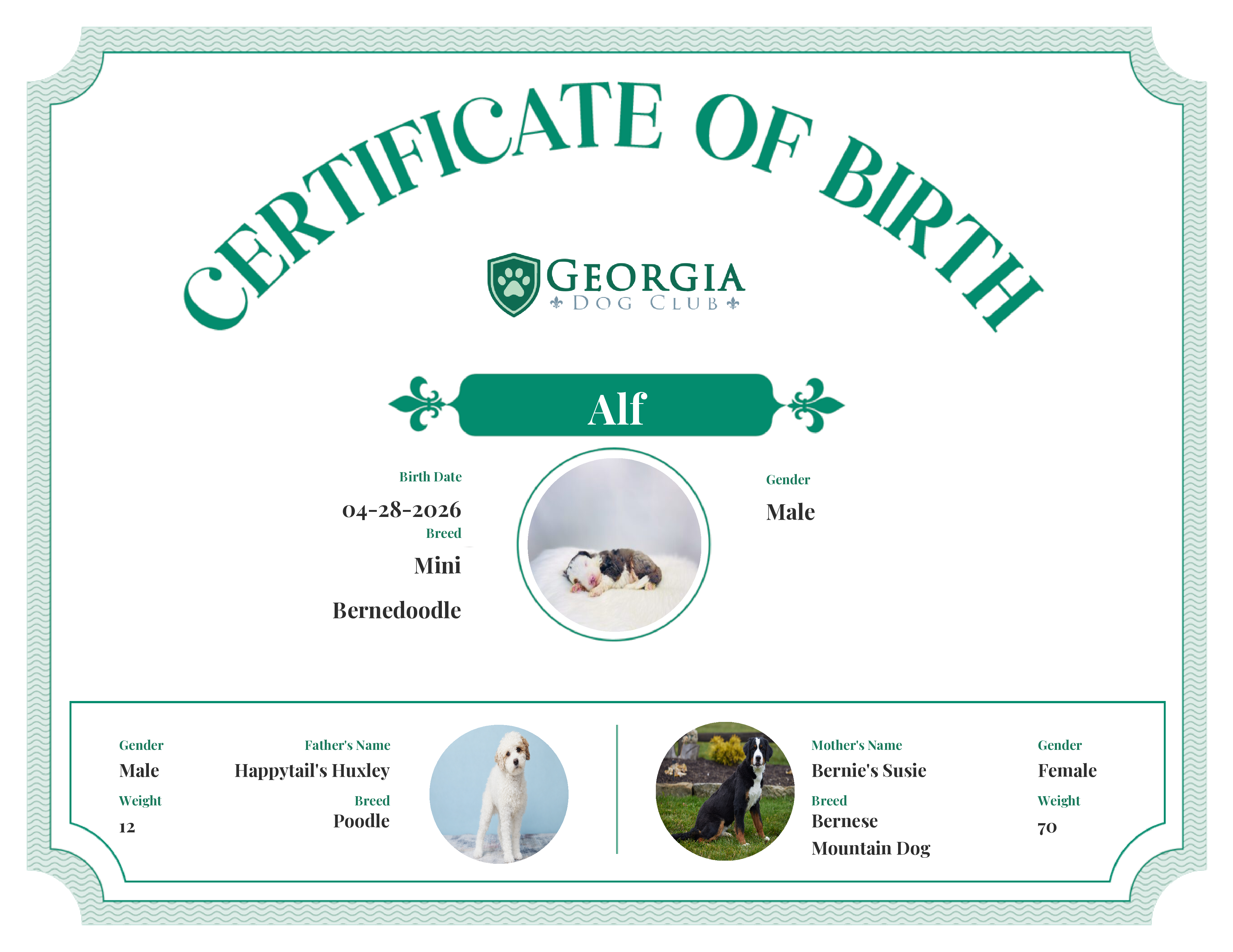 Alf's Birth Certificate