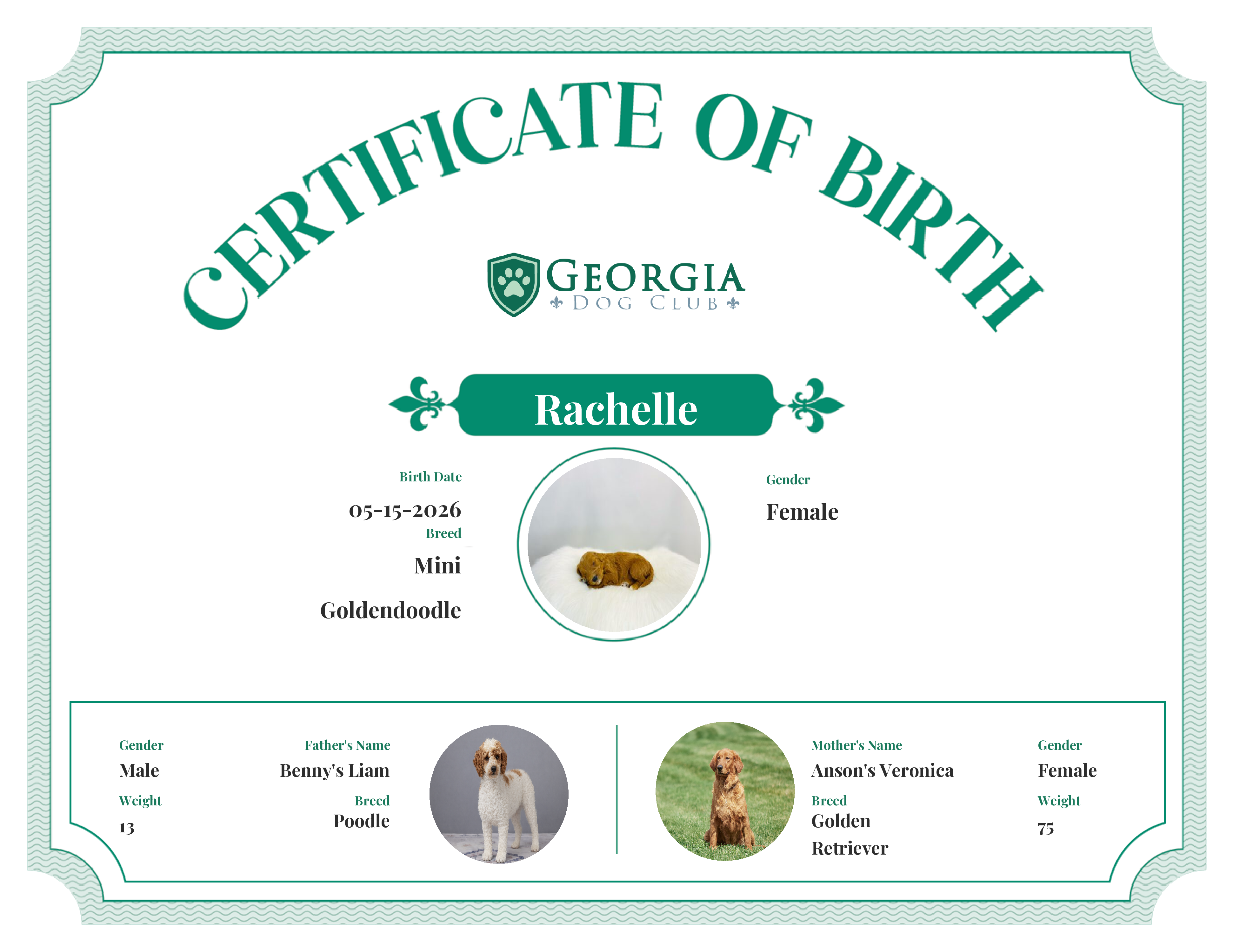 Rachelle's Birth Certificate