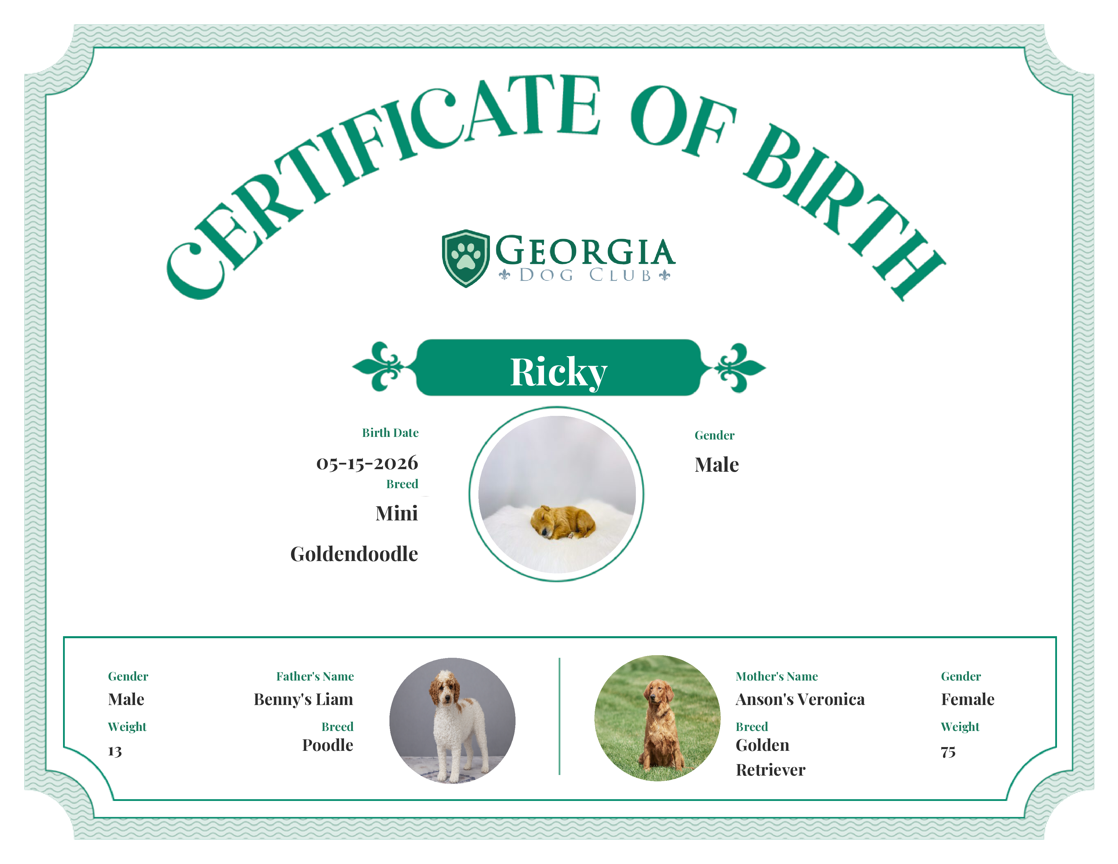 Ricky's Birth Certificate