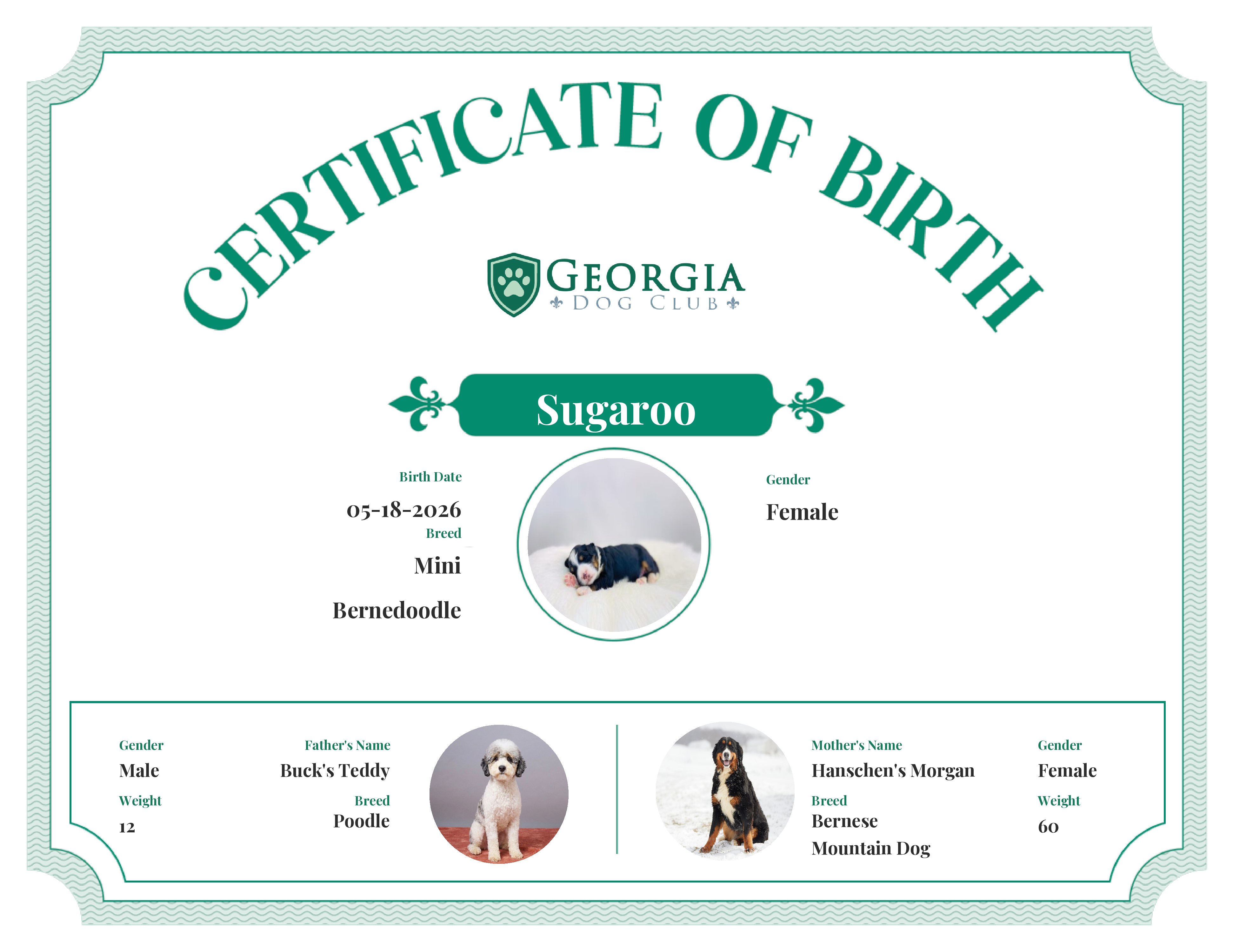 Sugaroo's Birth Certificate