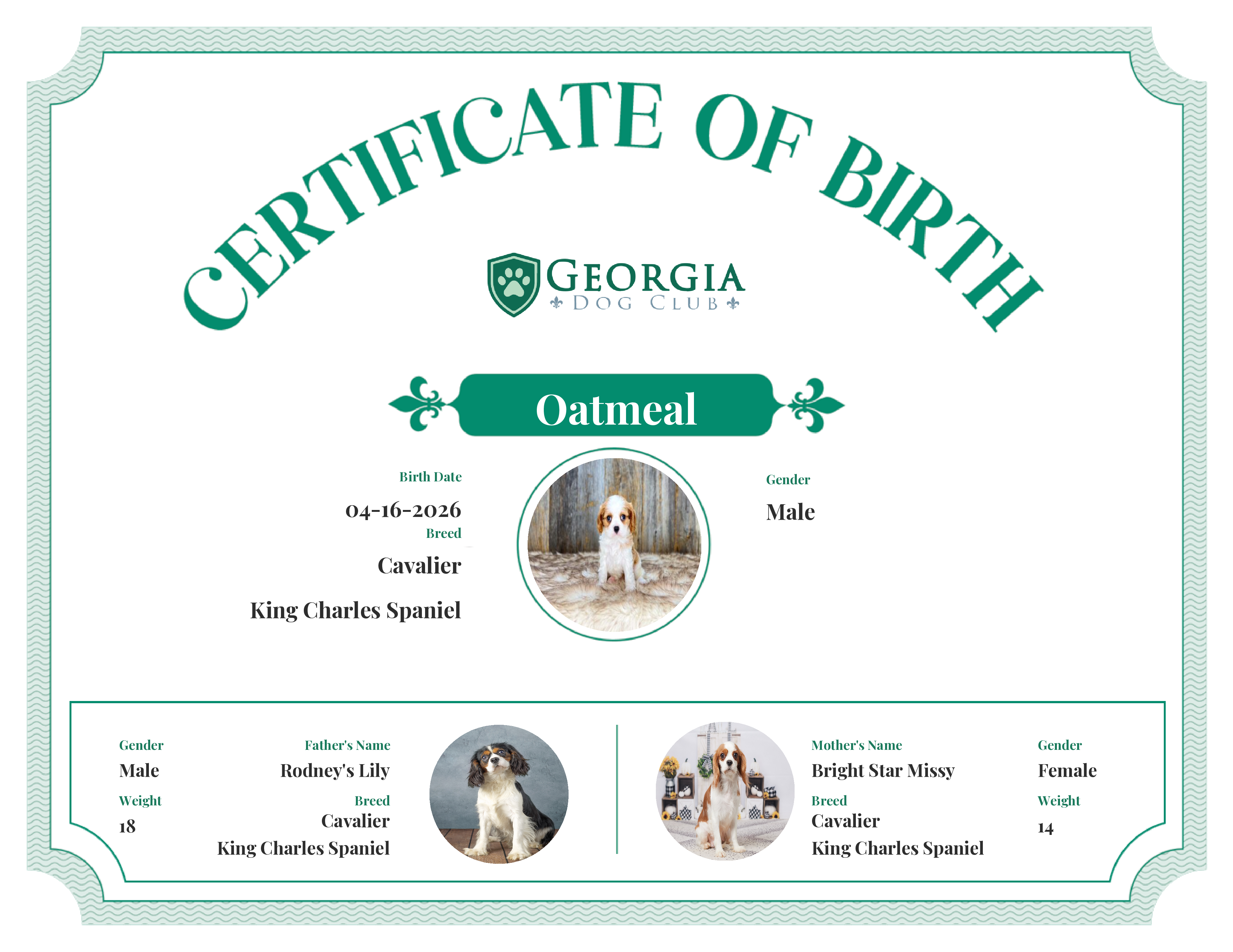 Oatmeal's Birth Certificate