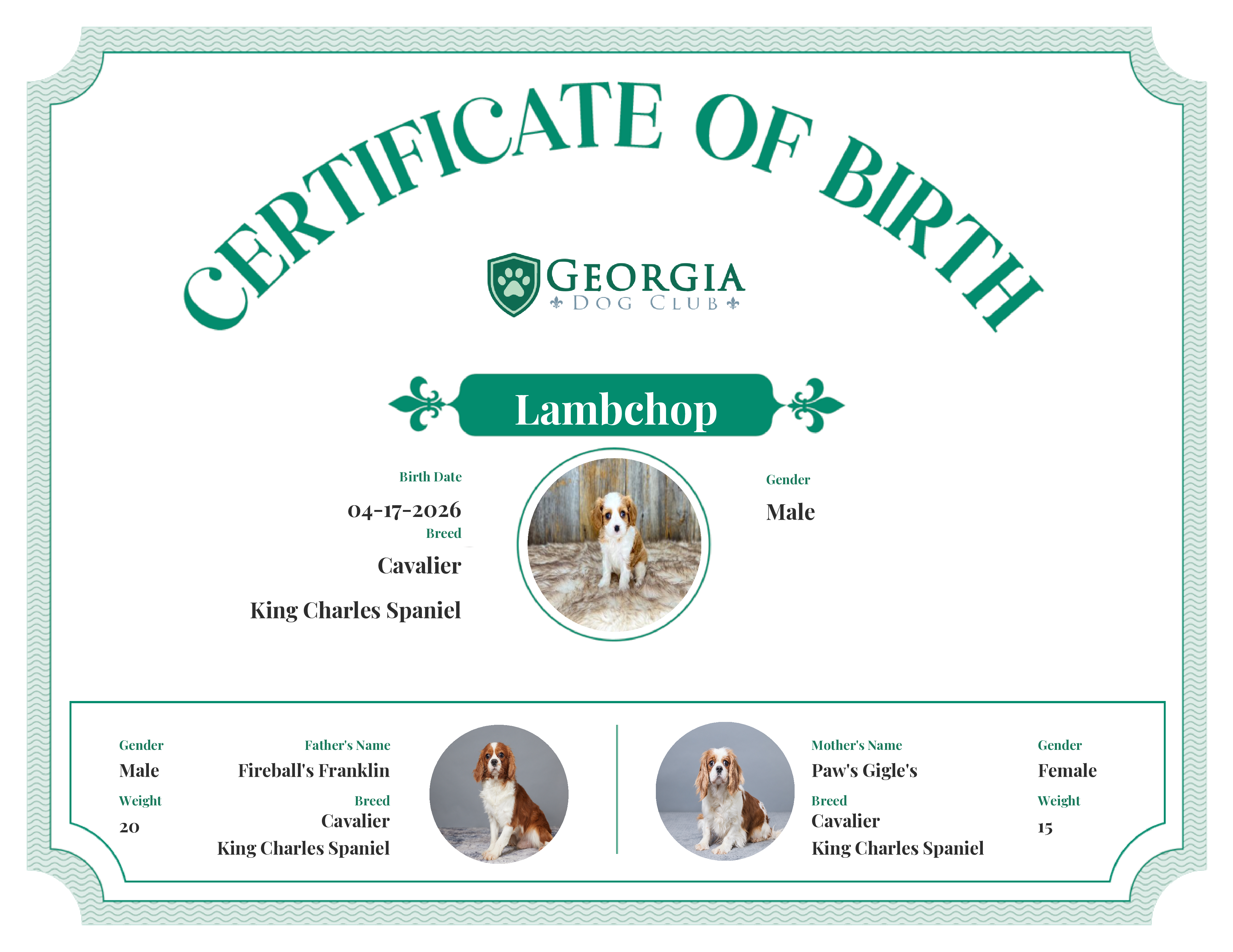 Lambchop's Birth Certificate