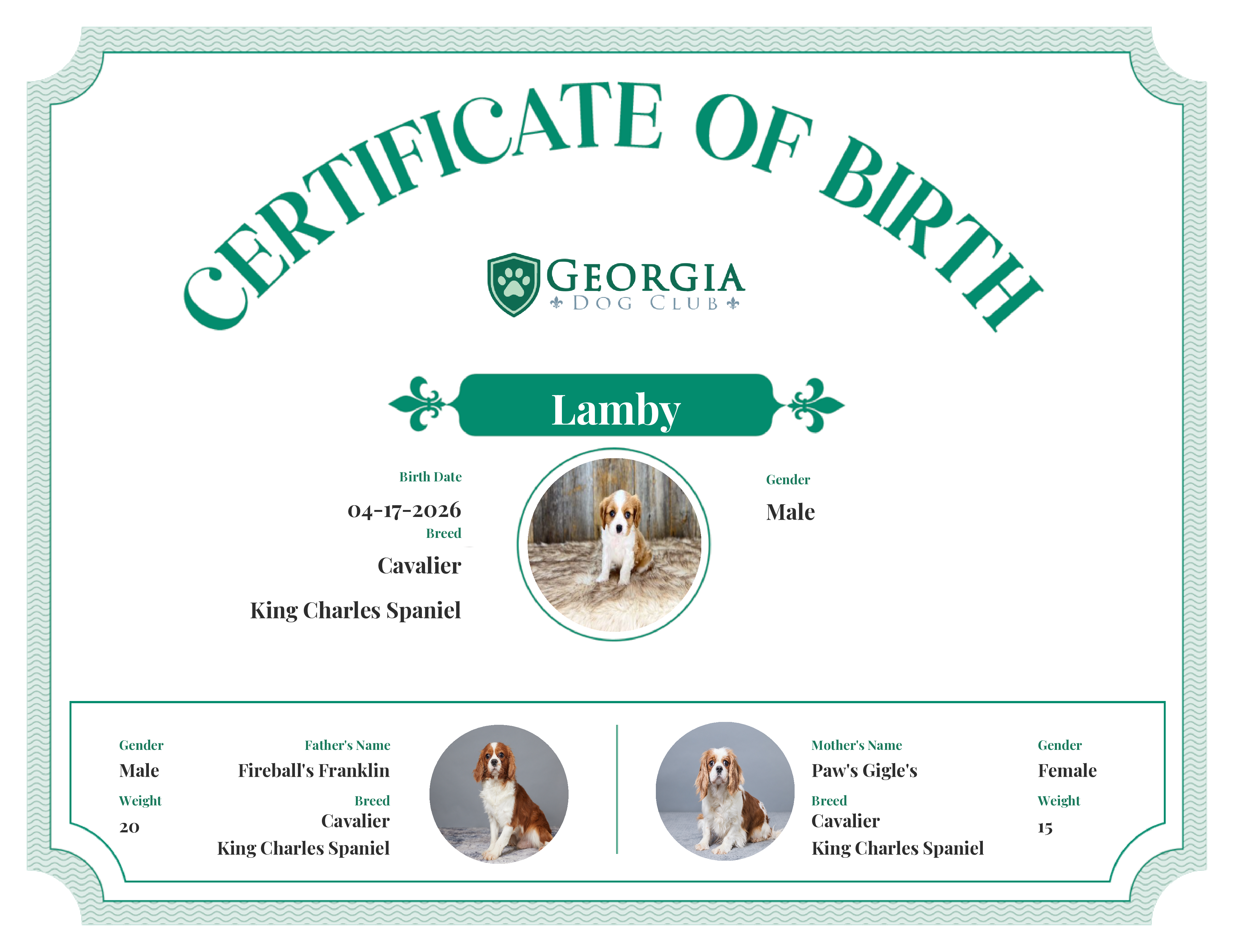 Lamby's Birth Certificate