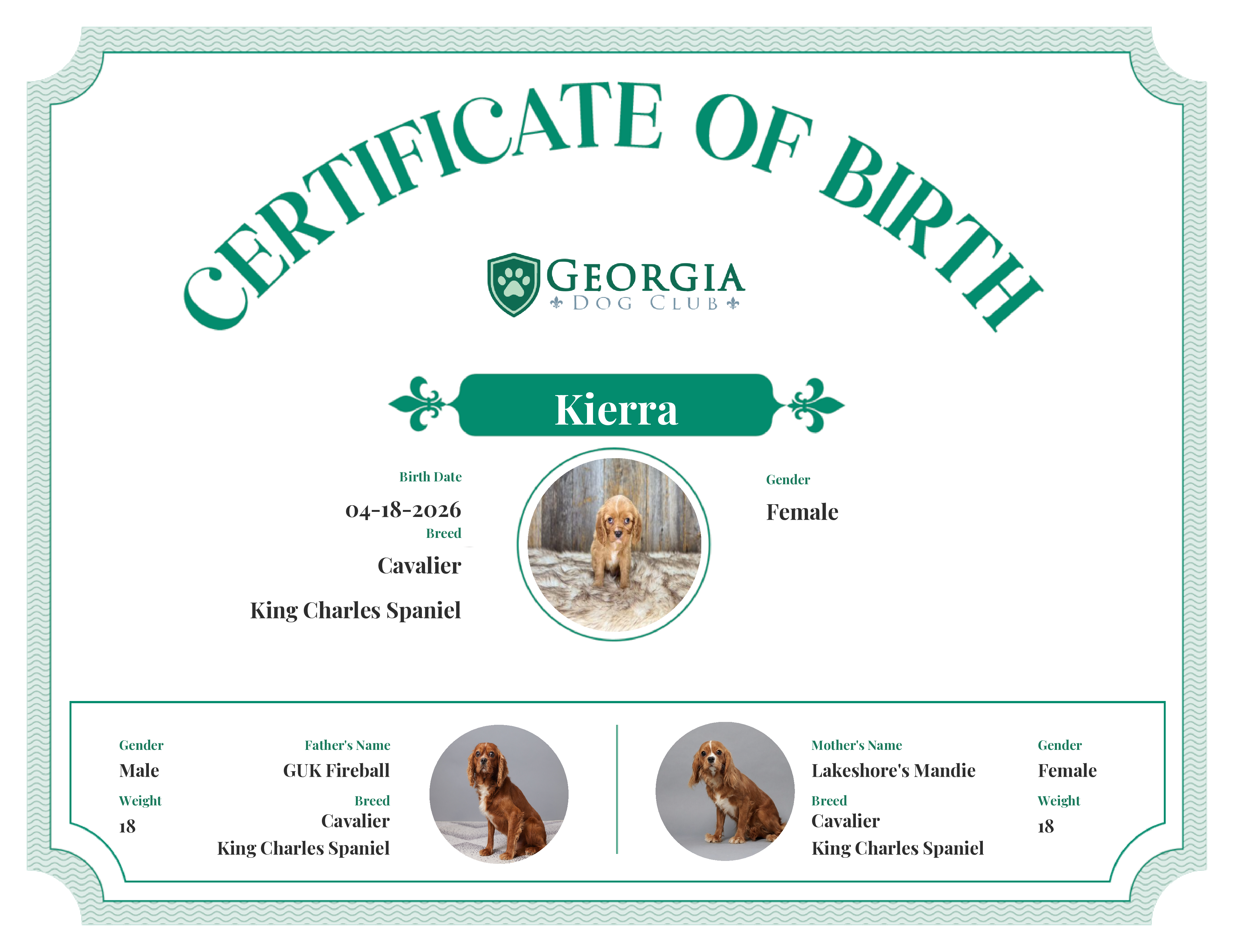 Kierra's Birth Certificate