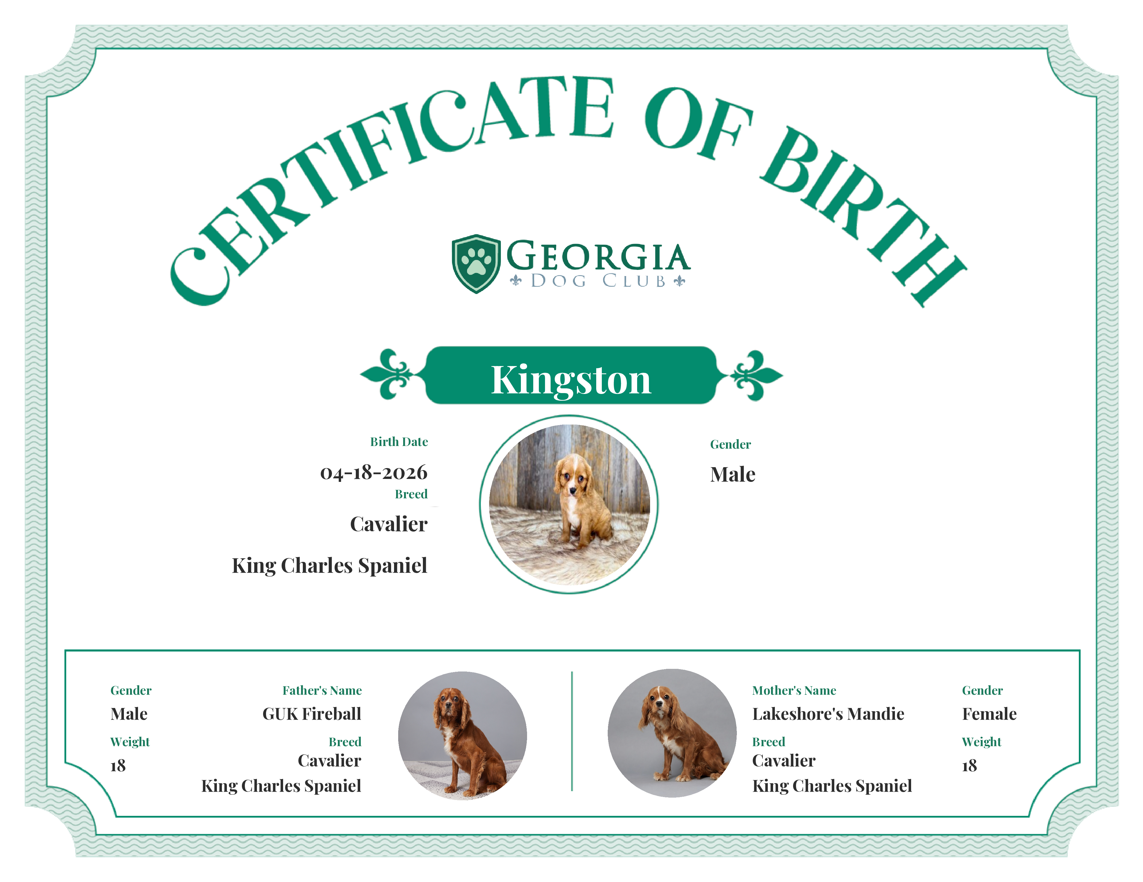 Kingston's Birth Certificate