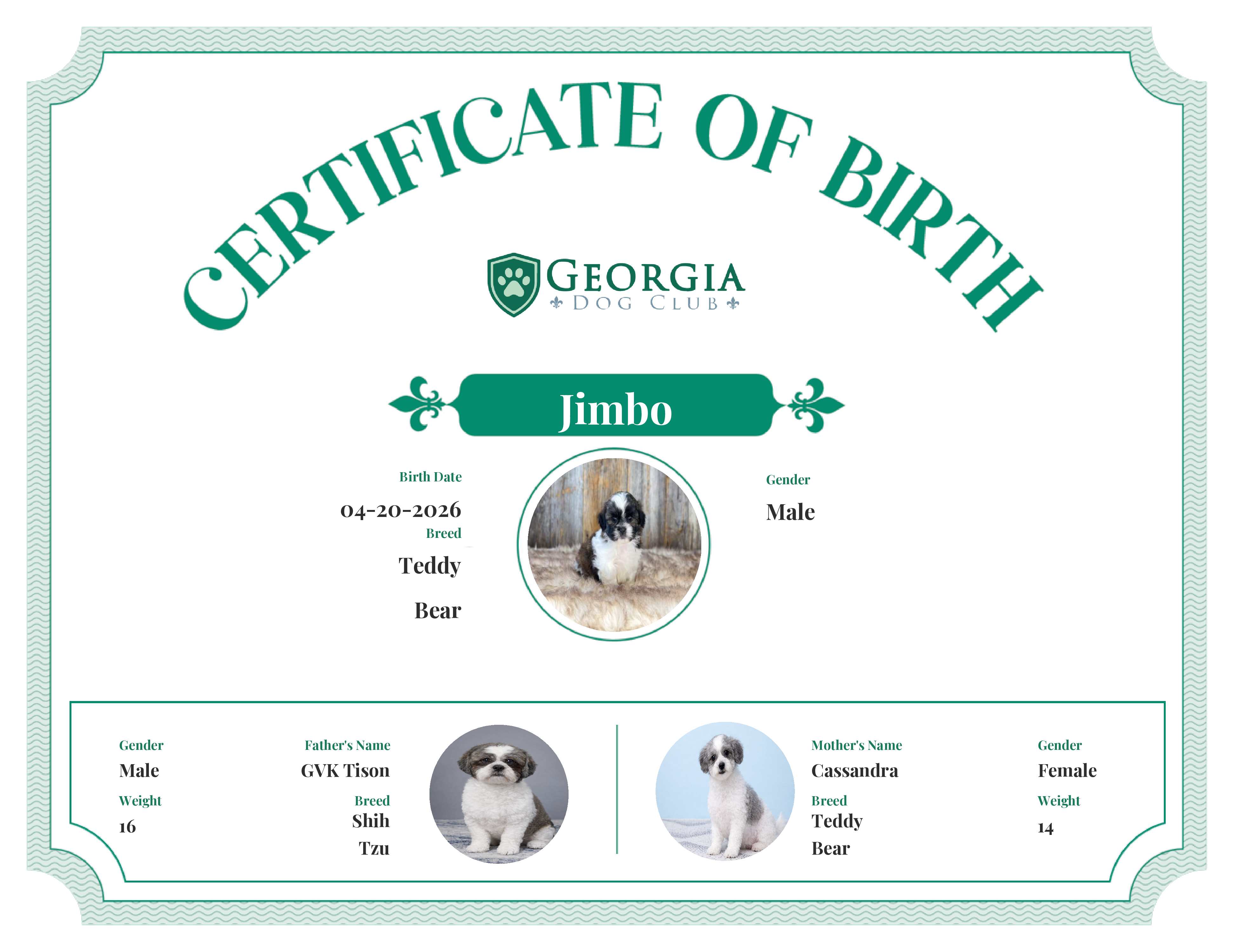 Jimbo's Birth Certificate