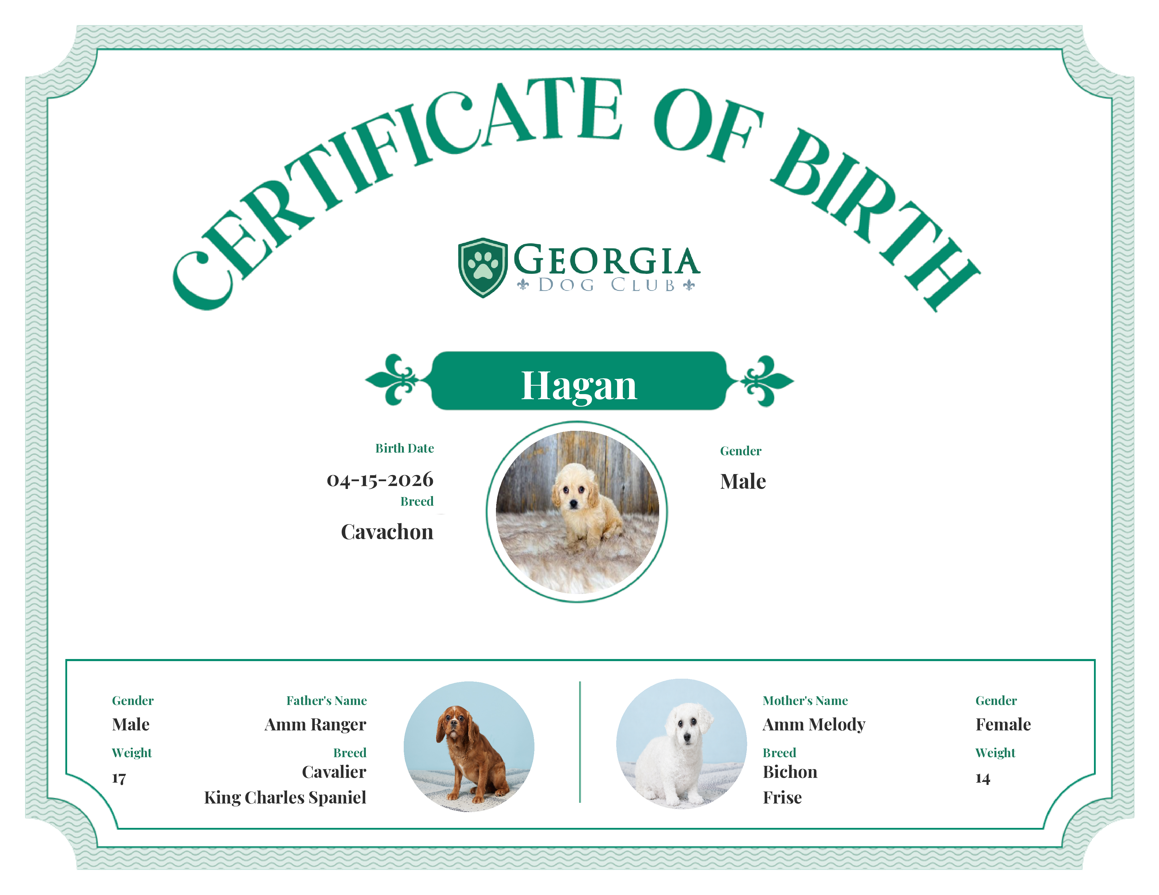 Hagan's Birth Certificate