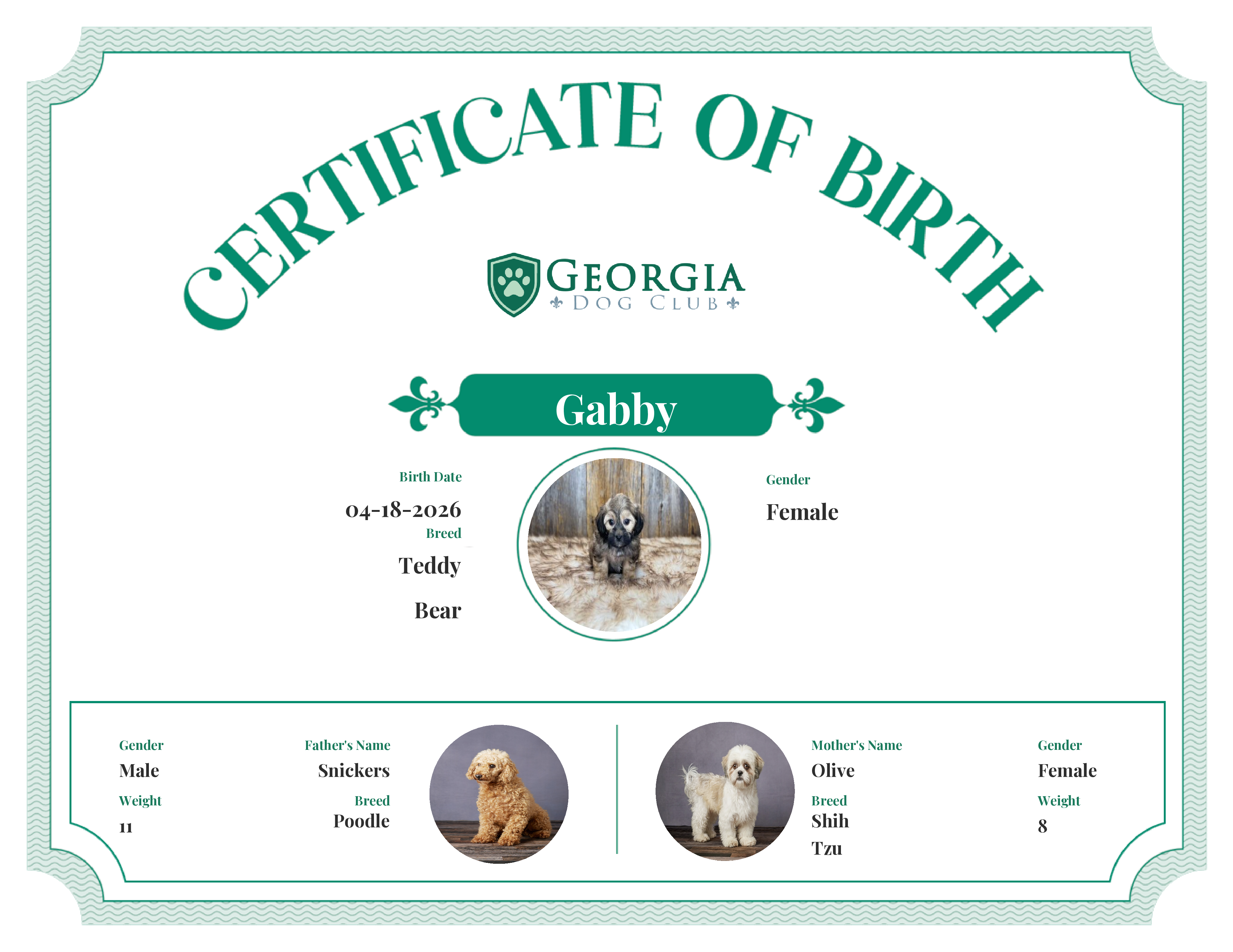 Gabby's Birth Certificate