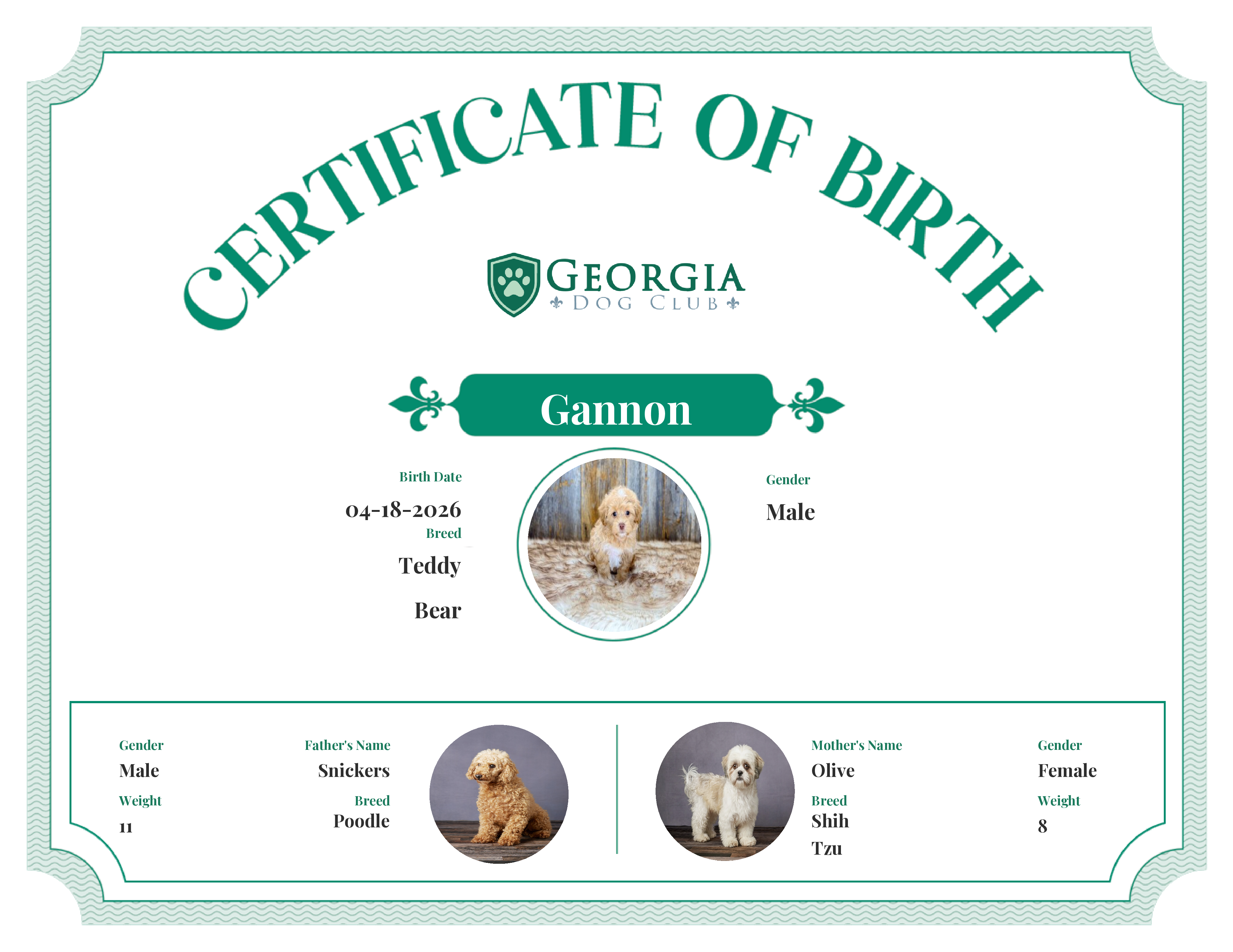 Gannon's Birth Certificate