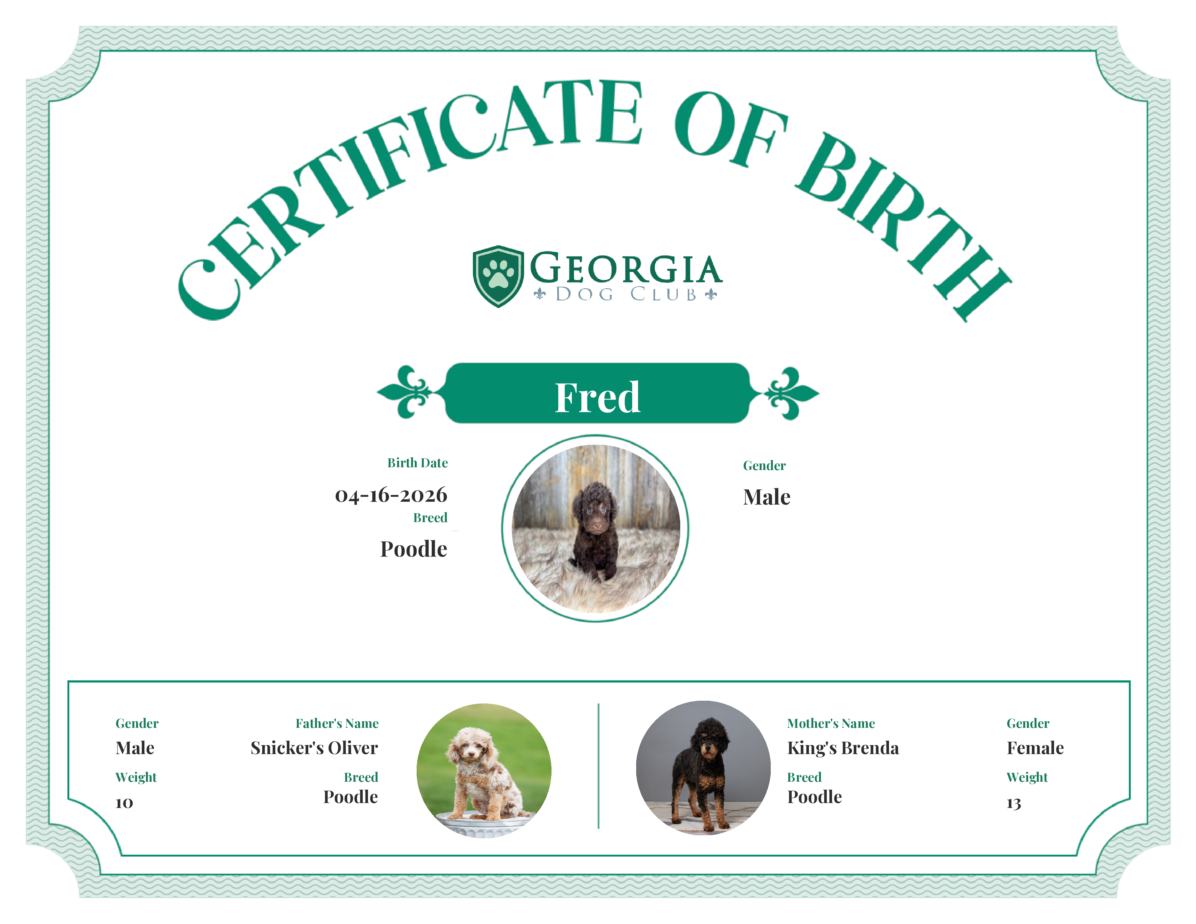 Fred's Birth Certificate
