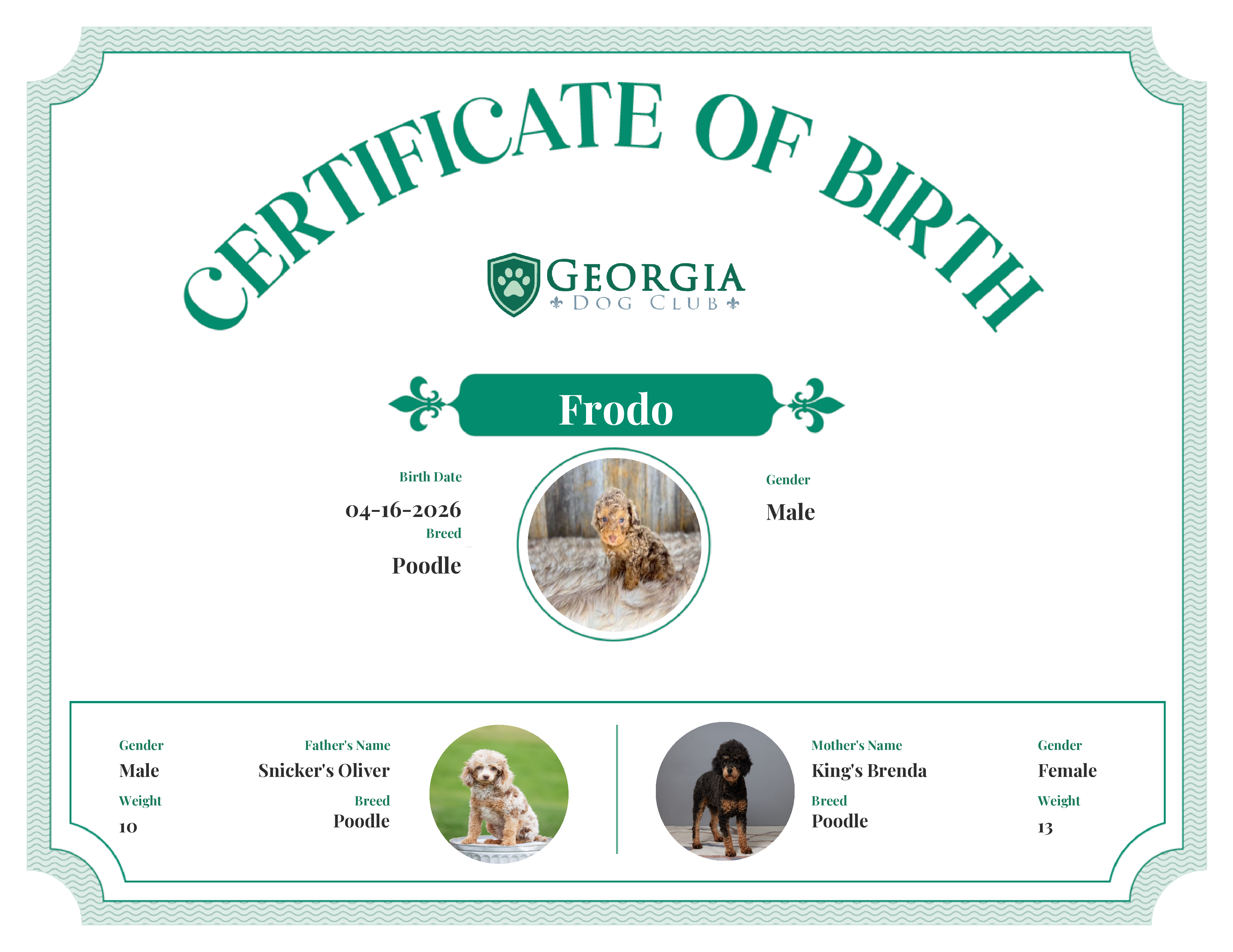 Frodo's Birth Certificate