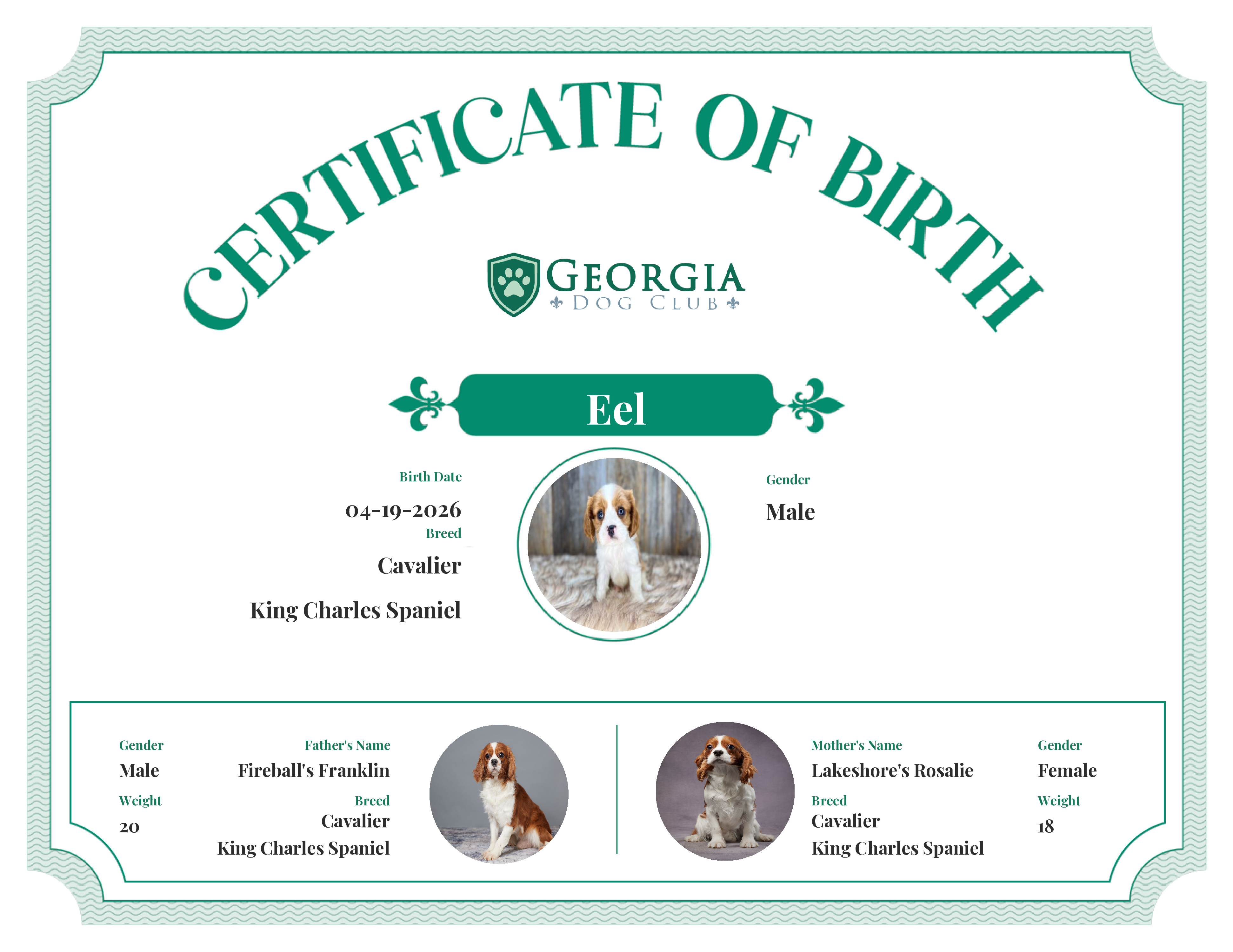 Eel's Birth Certificate