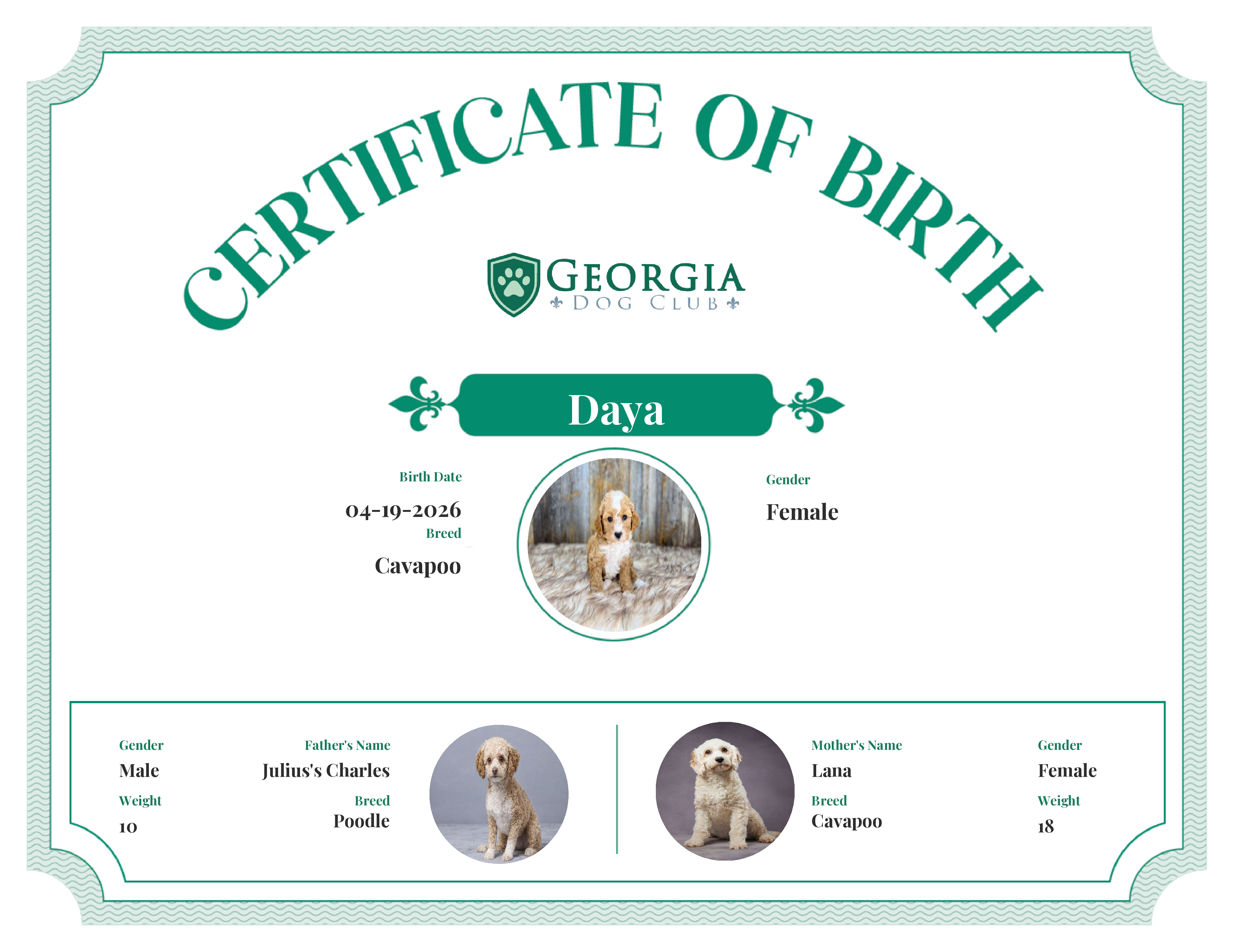Daya's Birth Certificate