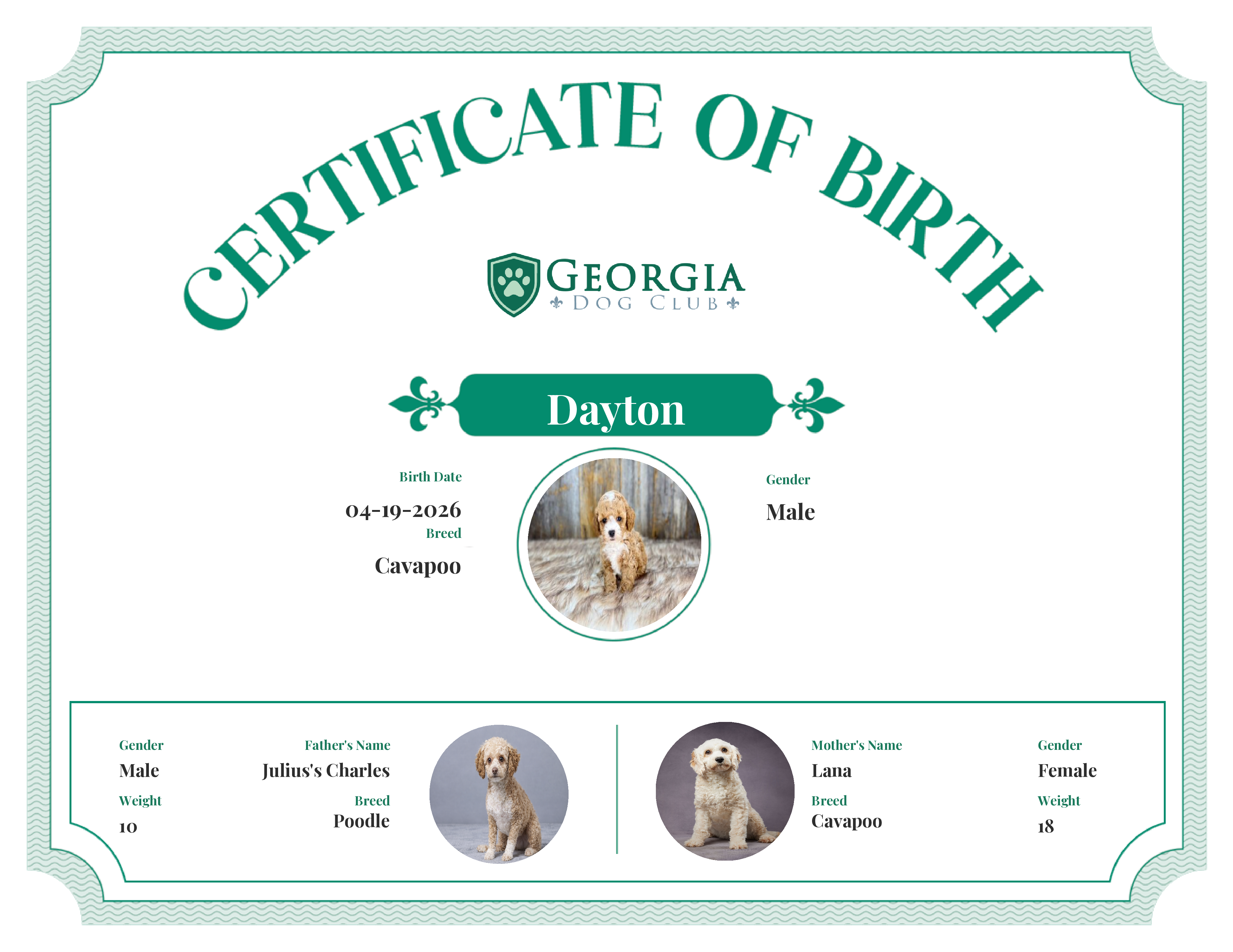 Dayton's Birth Certificate