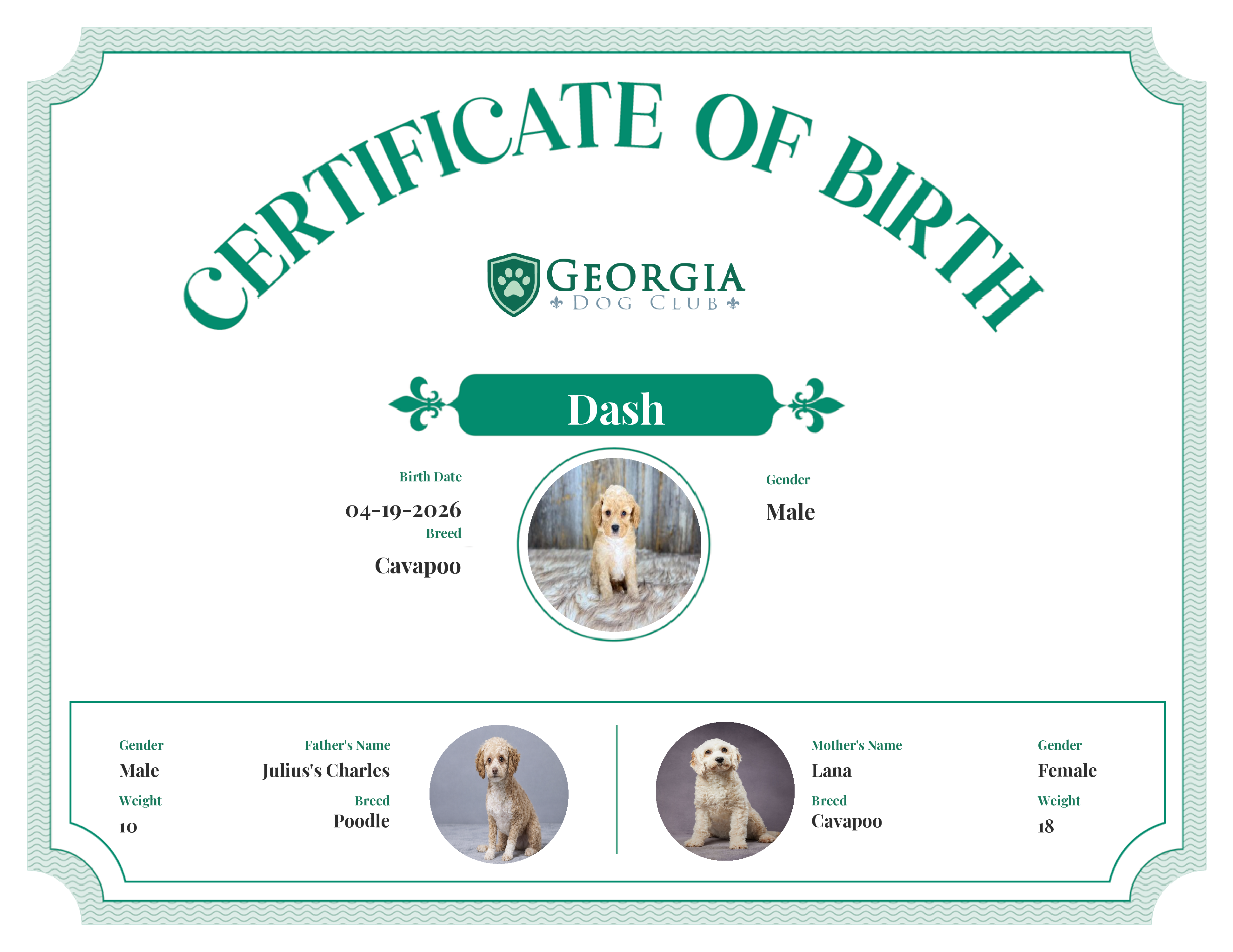 Dash's Birth Certificate