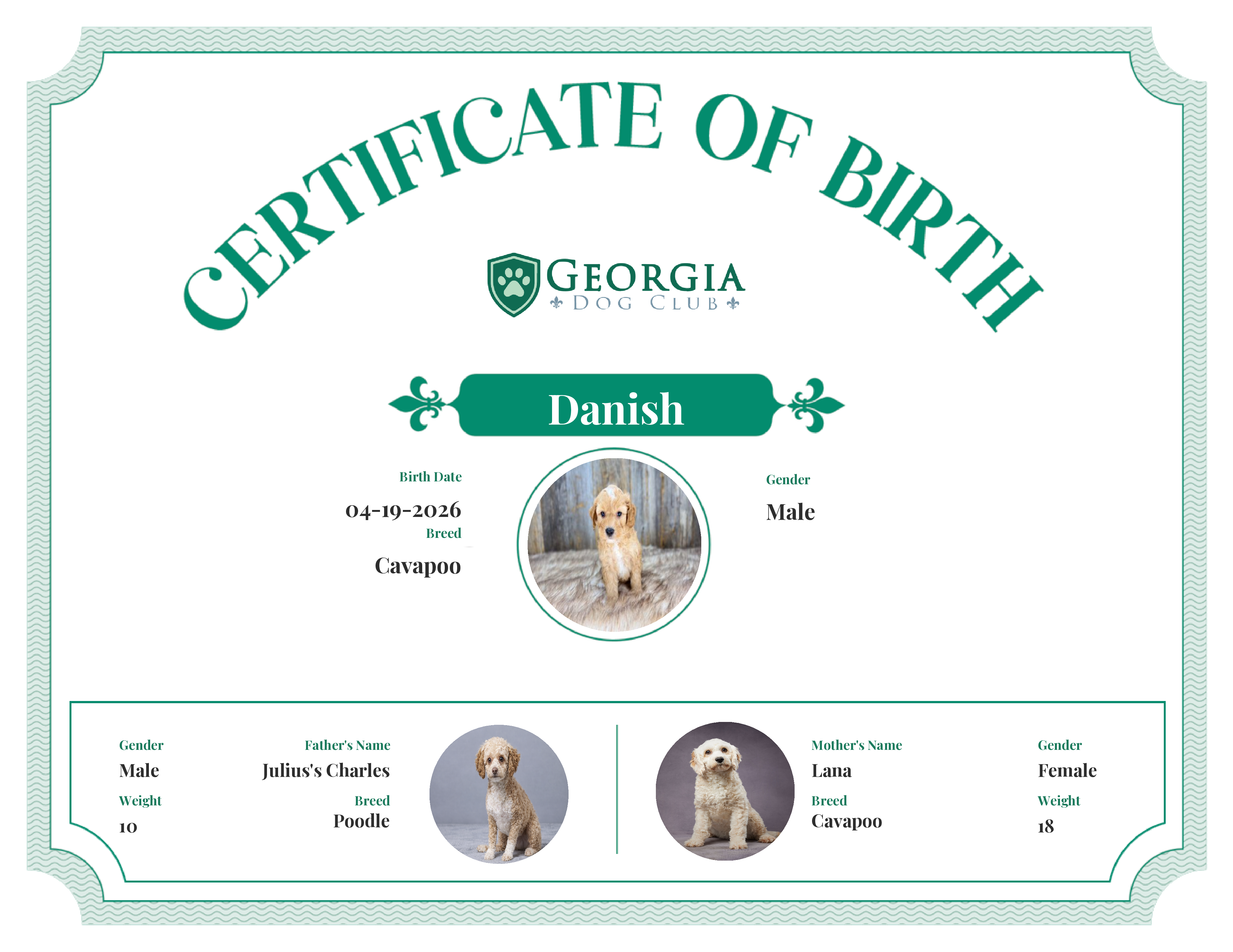 Danish's Birth Certificate