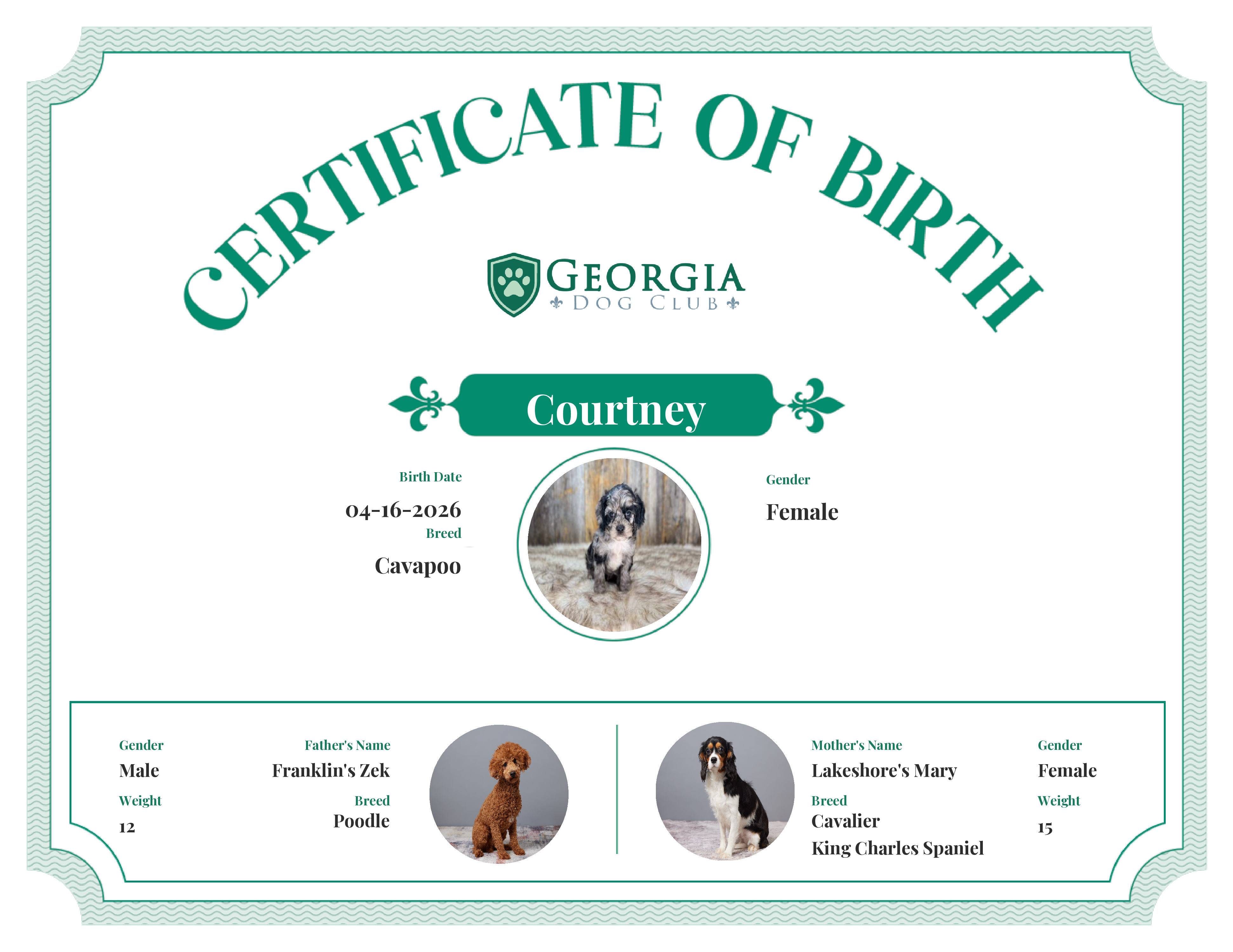 Courtney's Birth Certificate