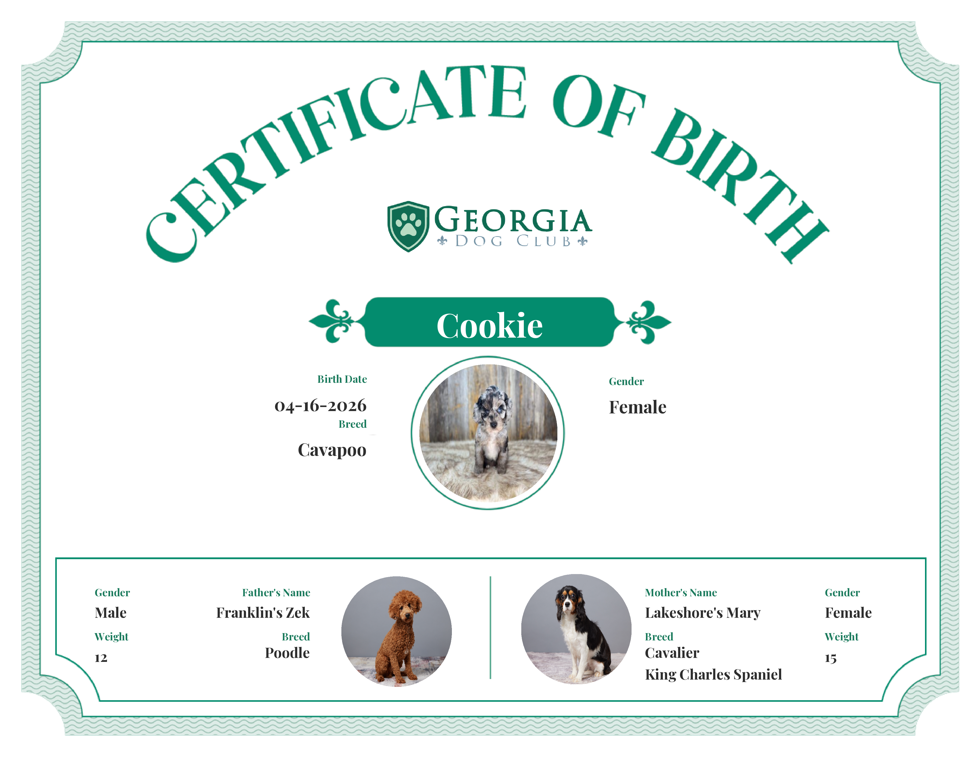 Cookie's Birth Certificate