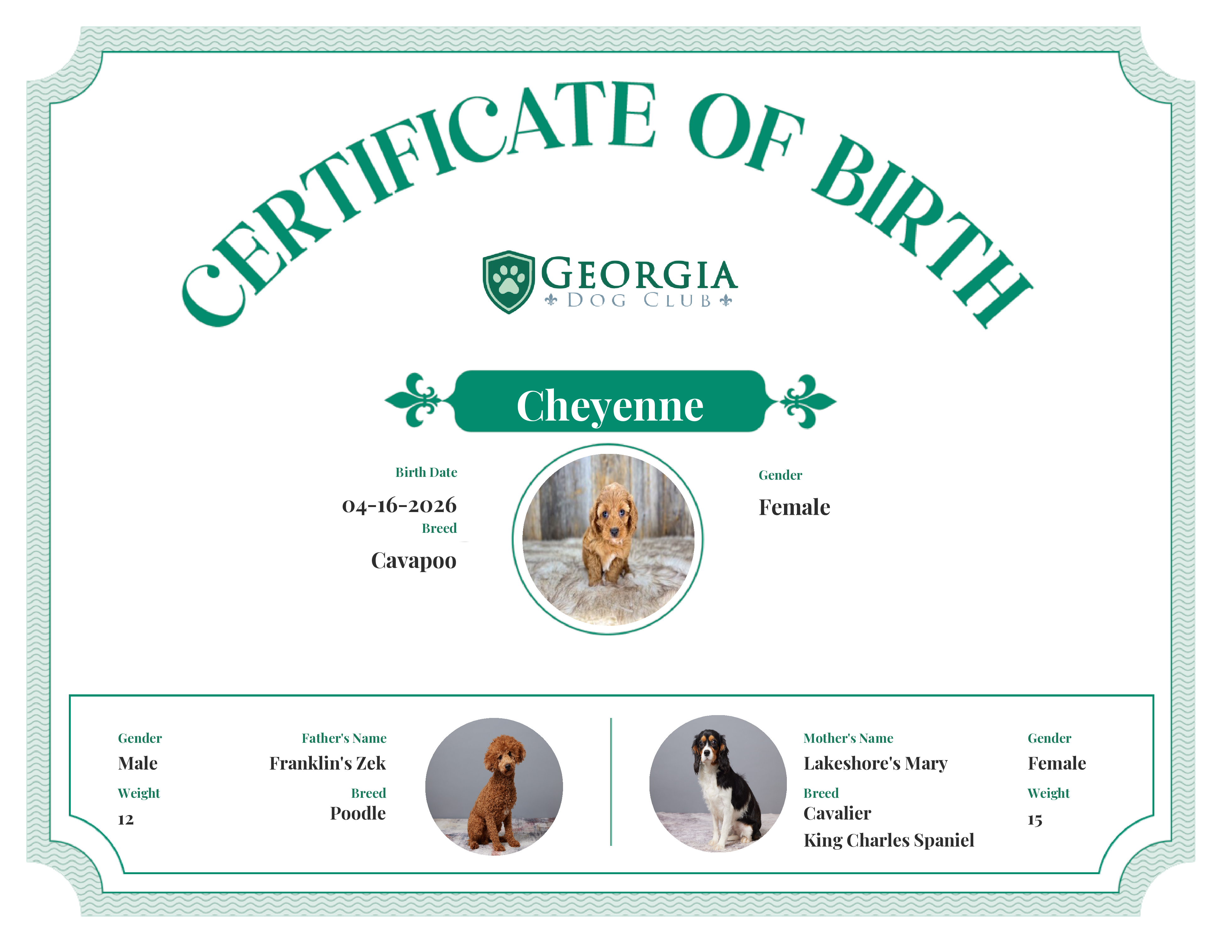 Cheyenne's Birth Certificate