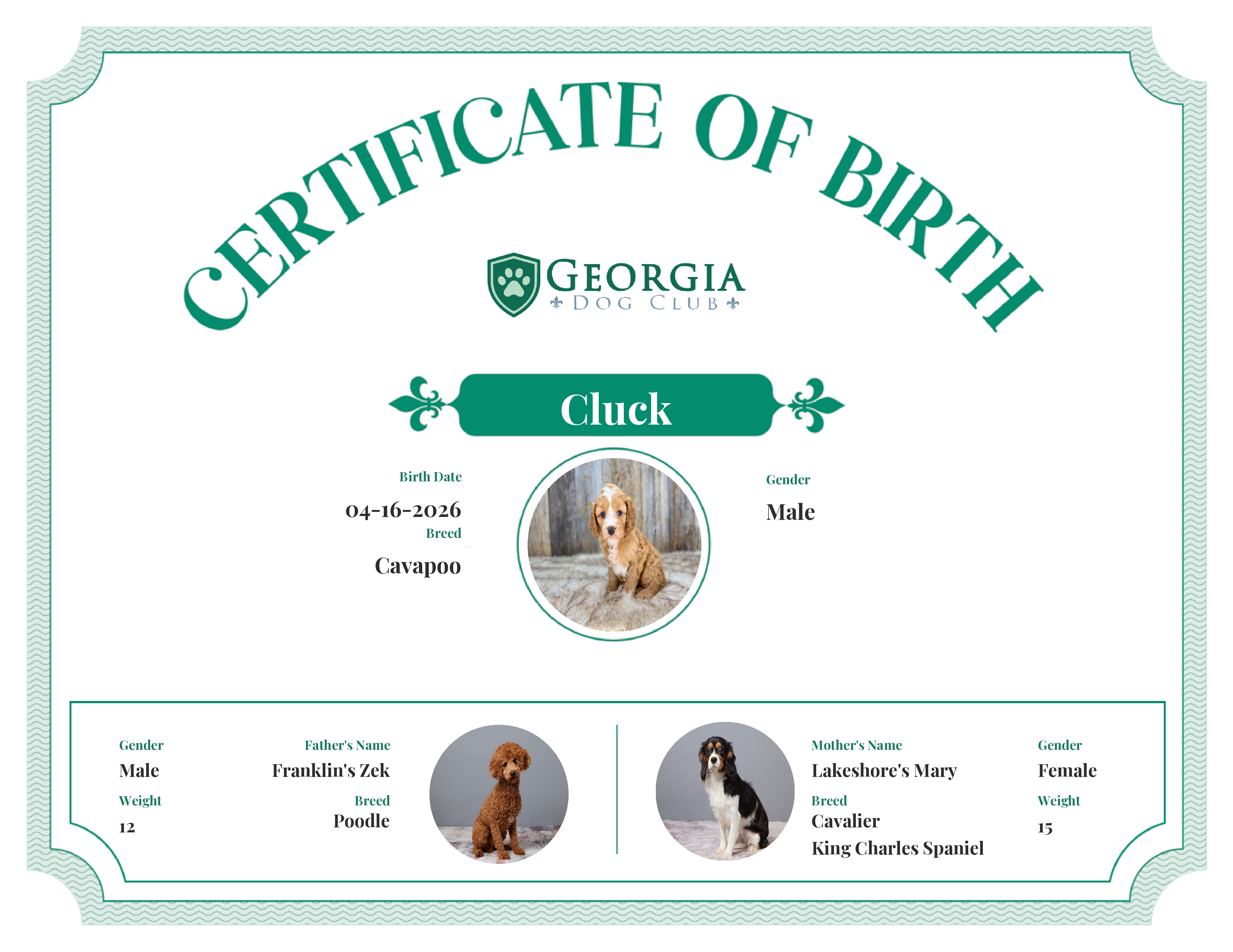 Cluck's Birth Certificate