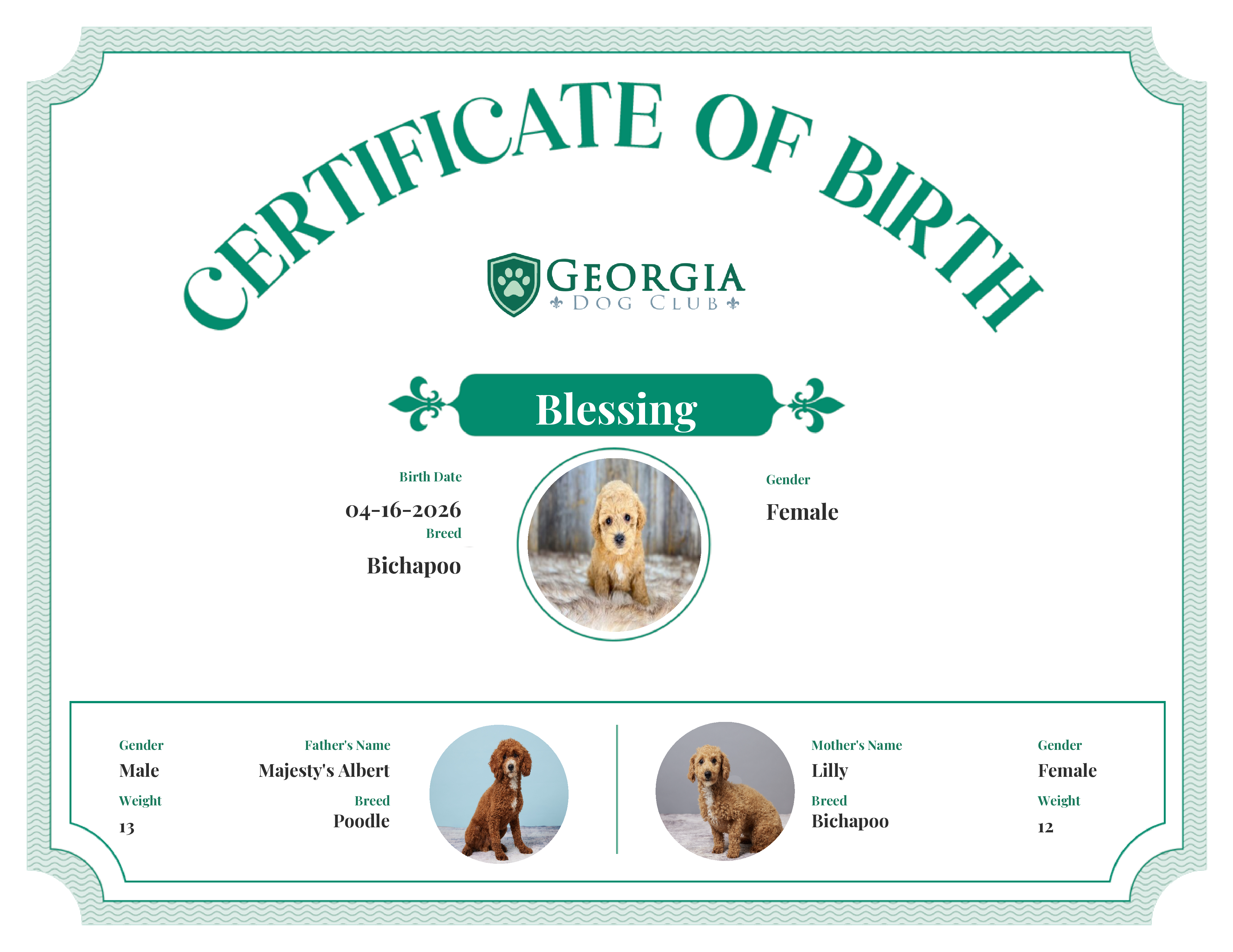 Blessing's Birth Certificate