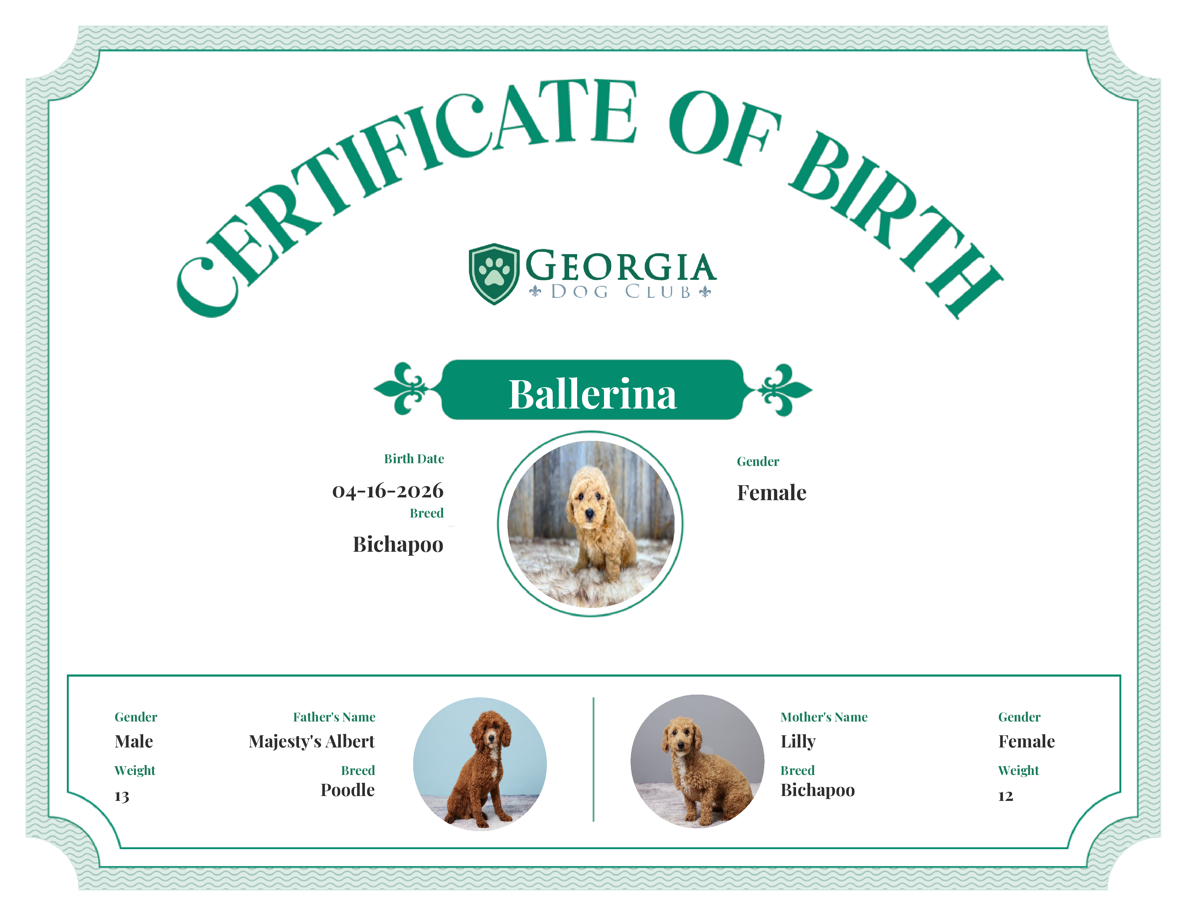 Ballerina's Birth Certificate