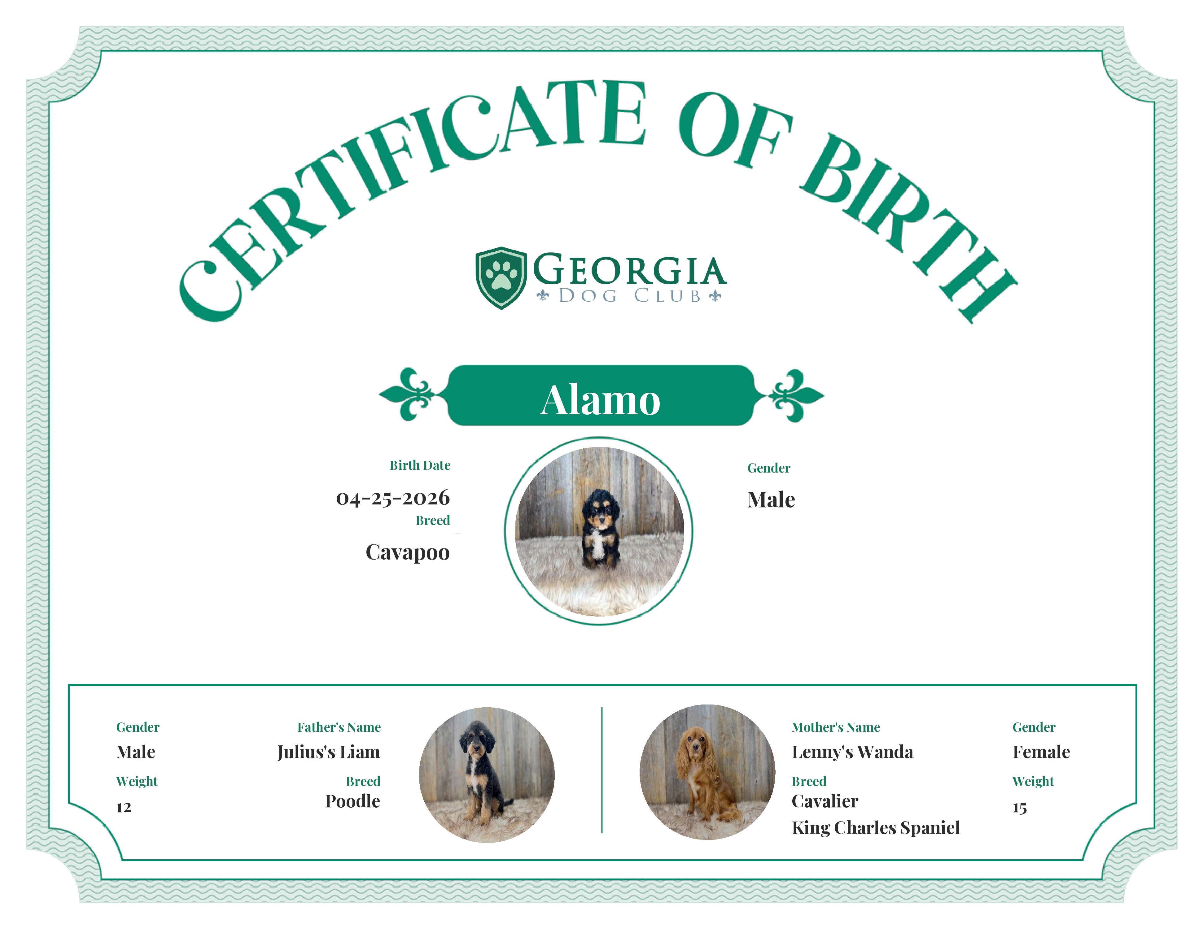 Alamo's Birth Certificate