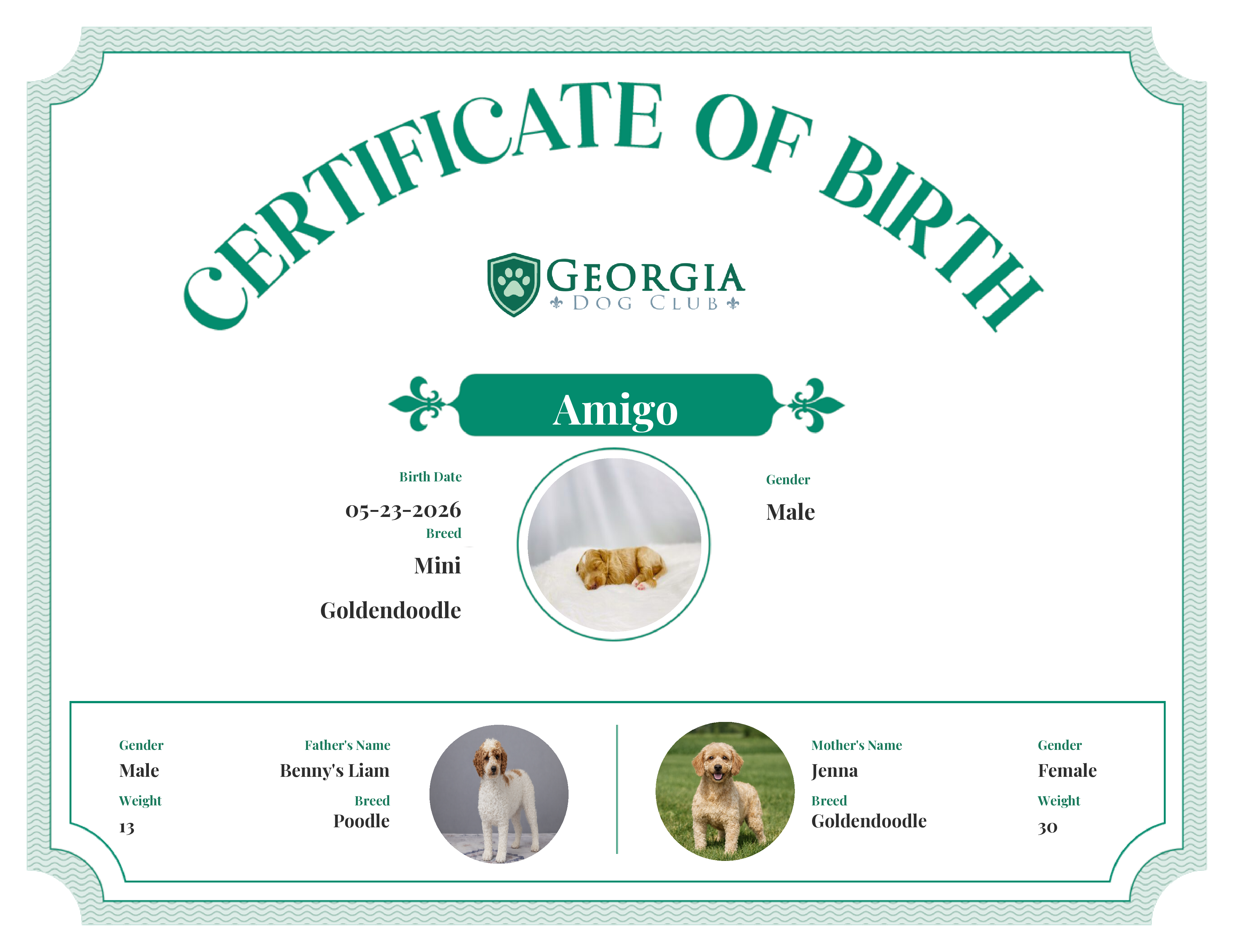 Amigo's Birth Certificate