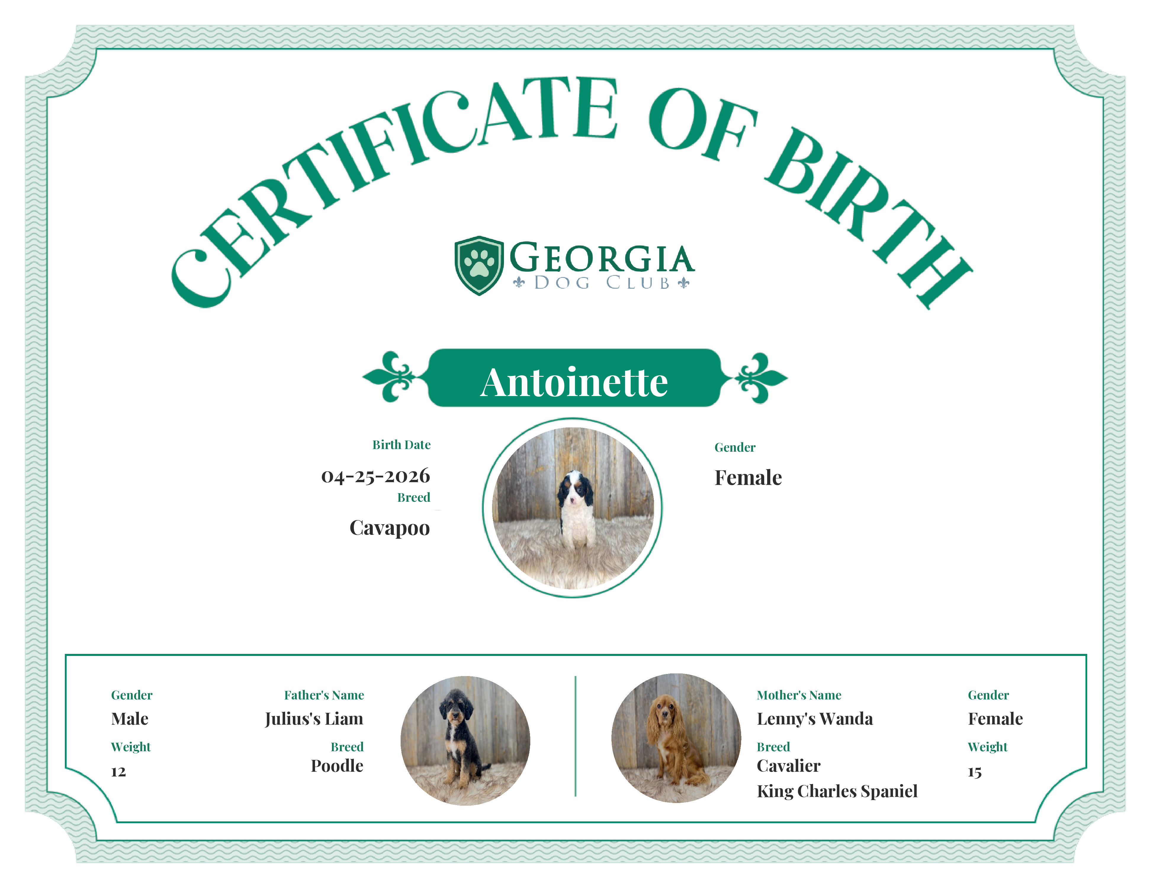 Antoinette's Birth Certificate