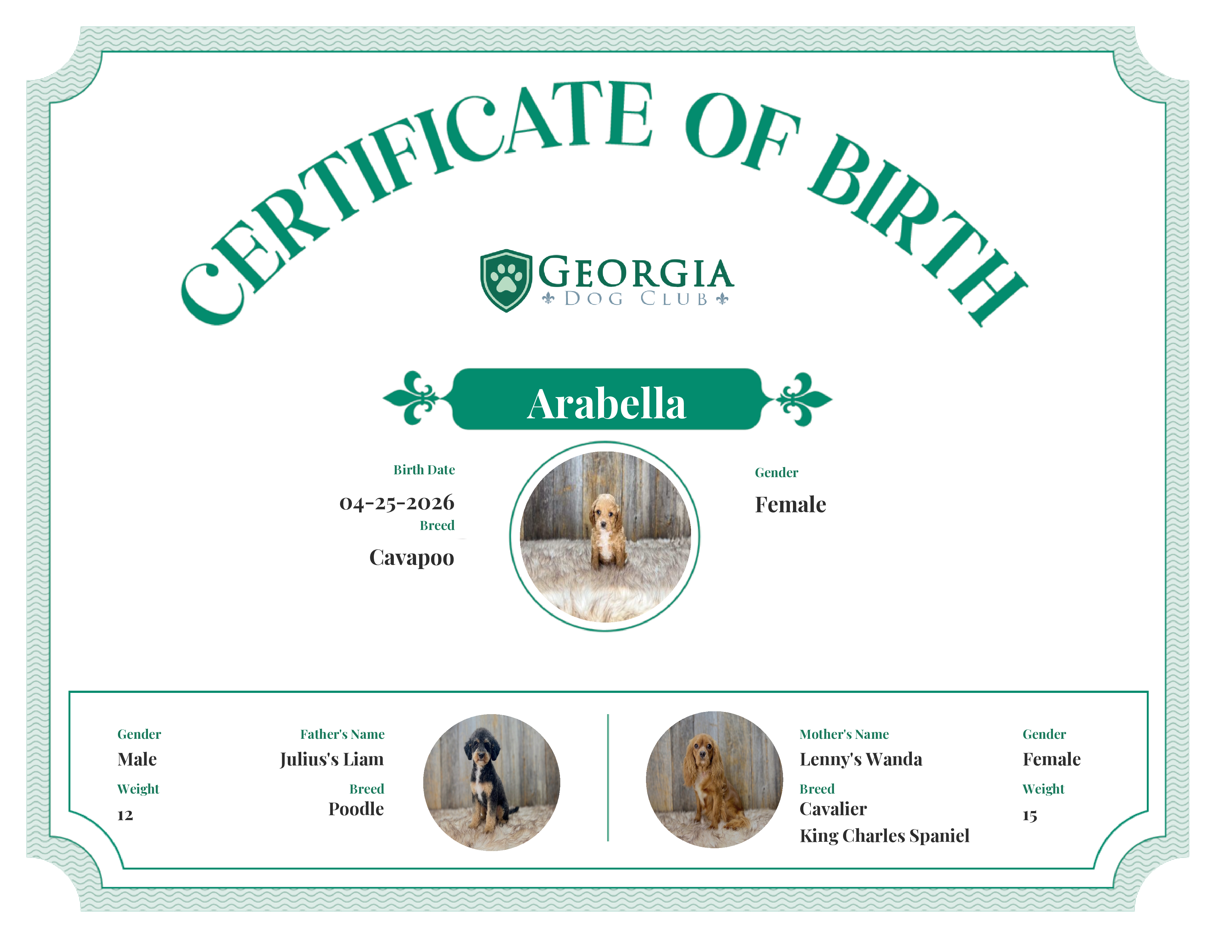 Arabella's Birth Certificate