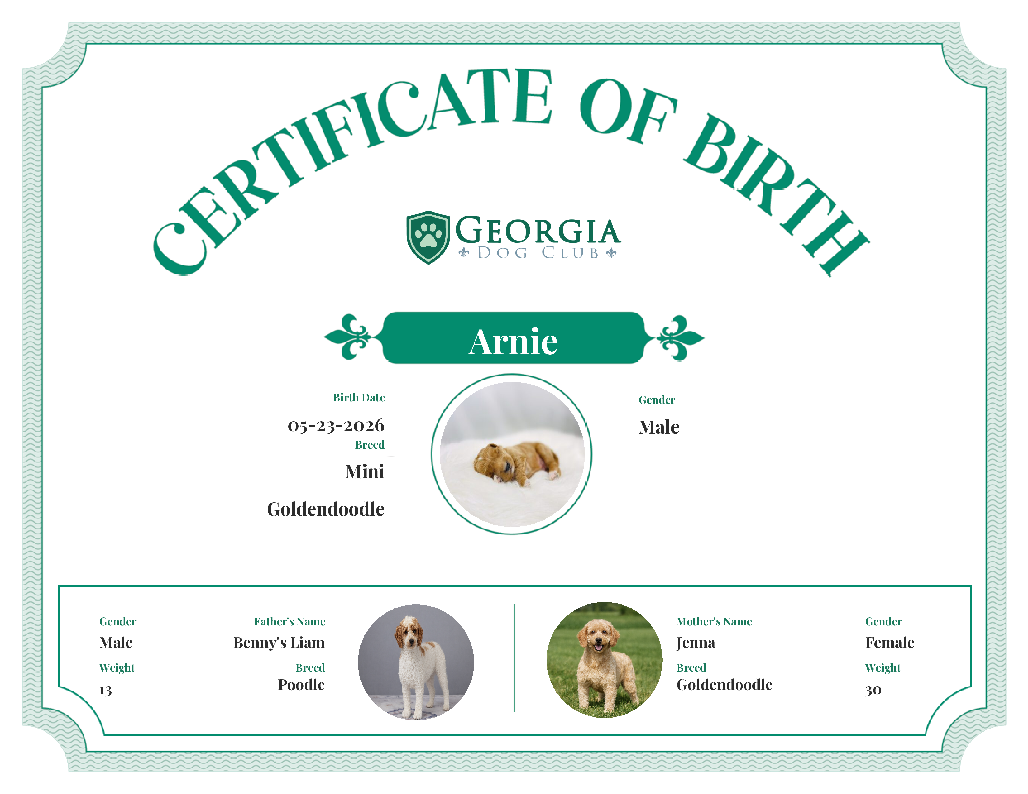 Arnie's Birth Certificate