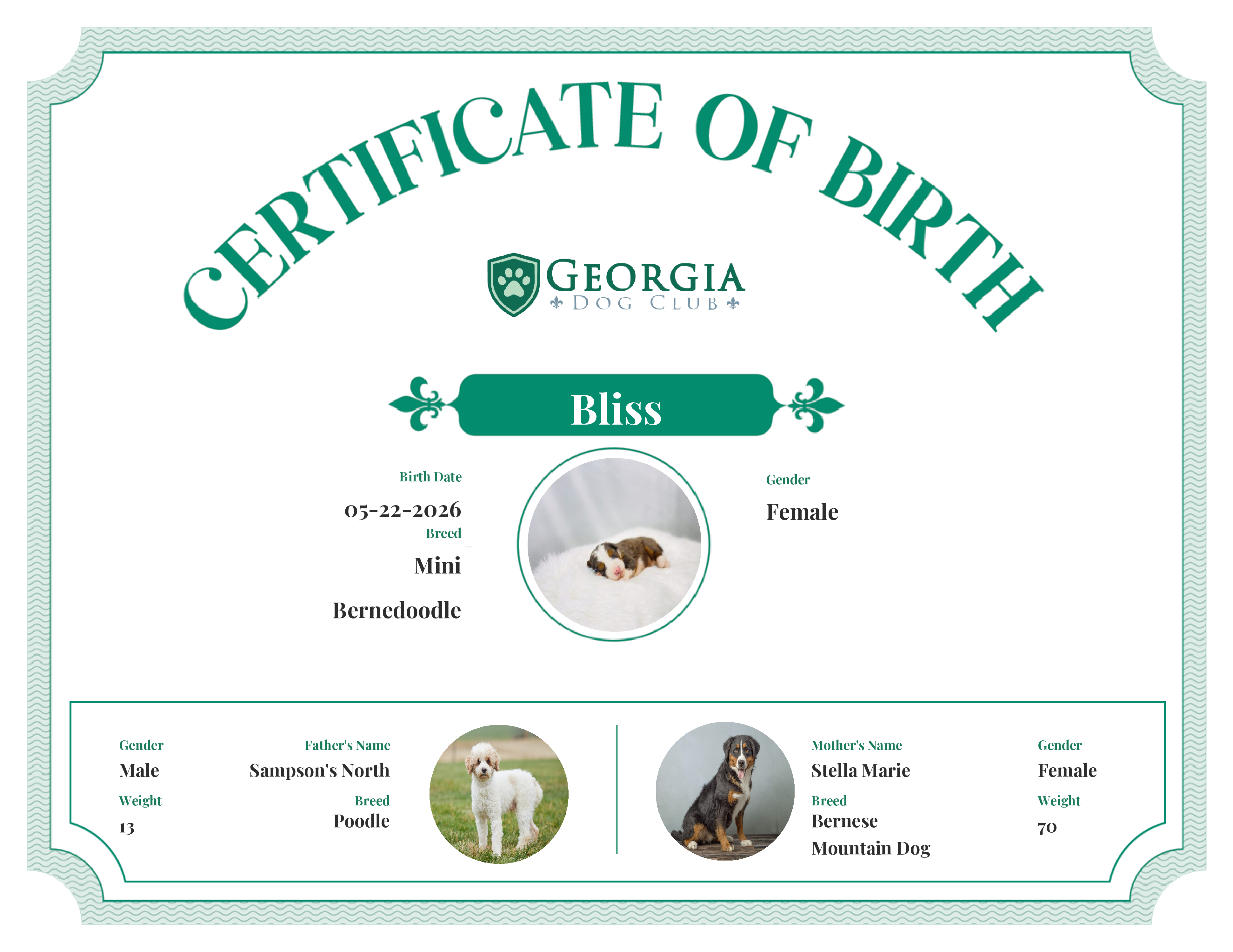 Bliss's Birth Certificate