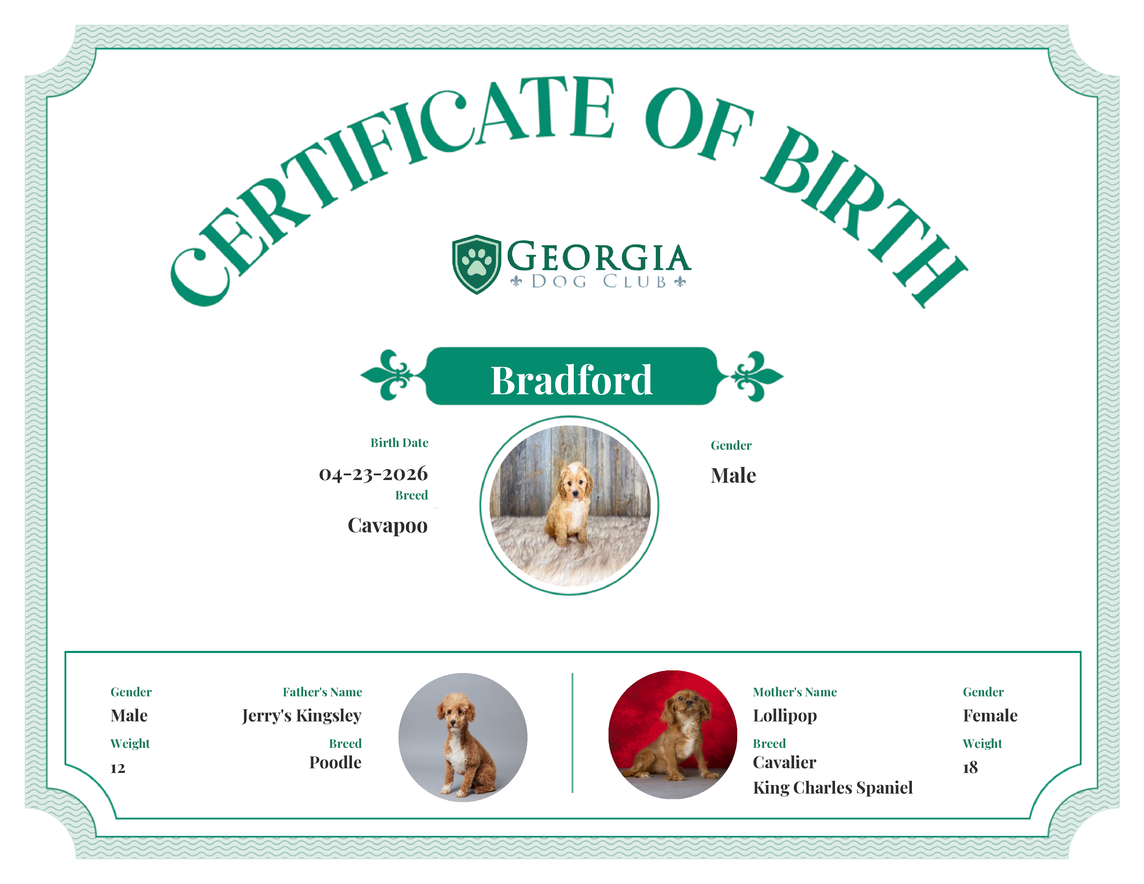Bradford's Birth Certificate