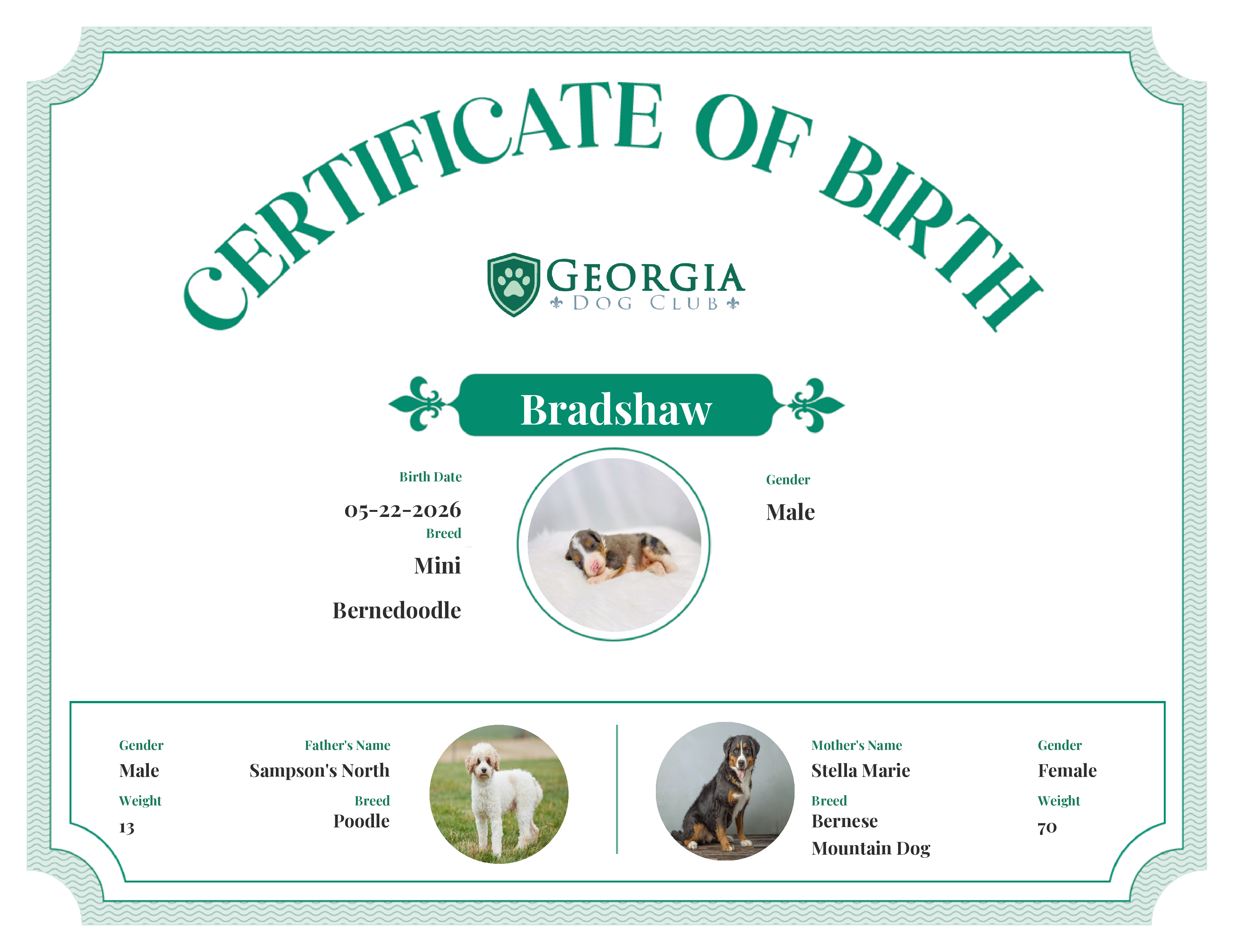 Bradshaw's Birth Certificate