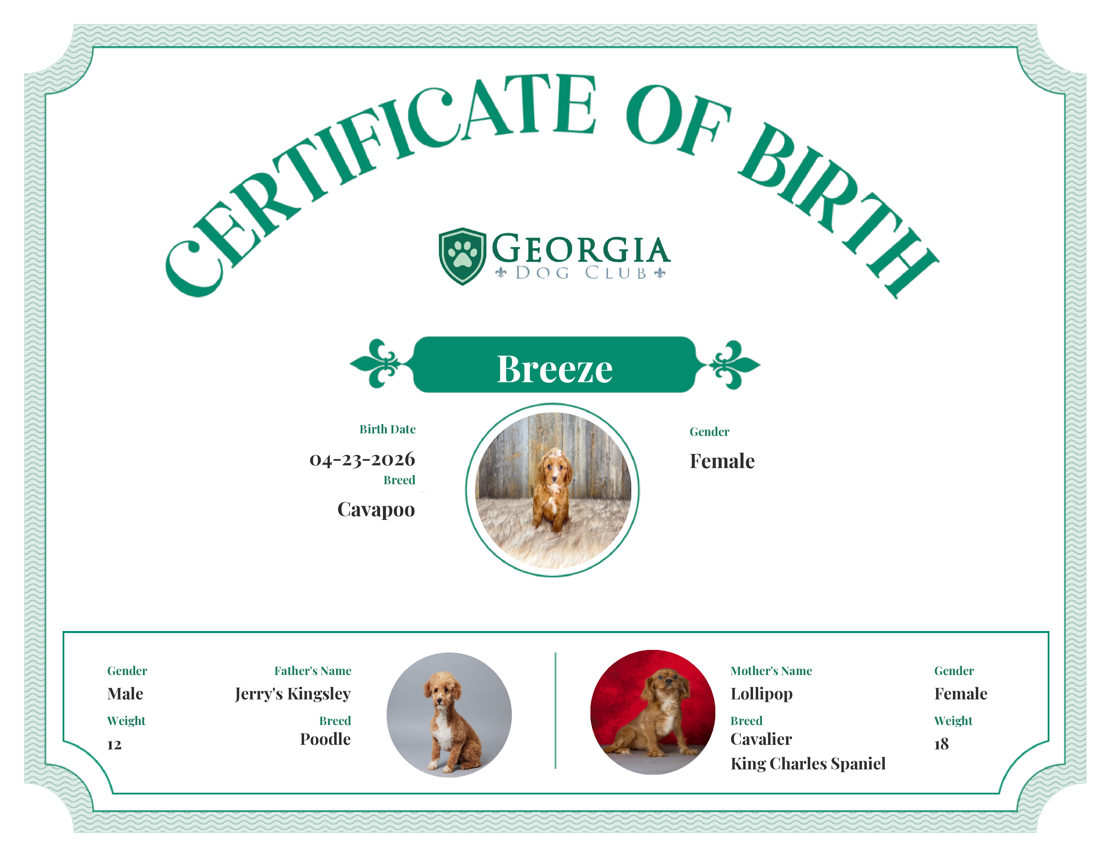 Breeze's Birth Certificate